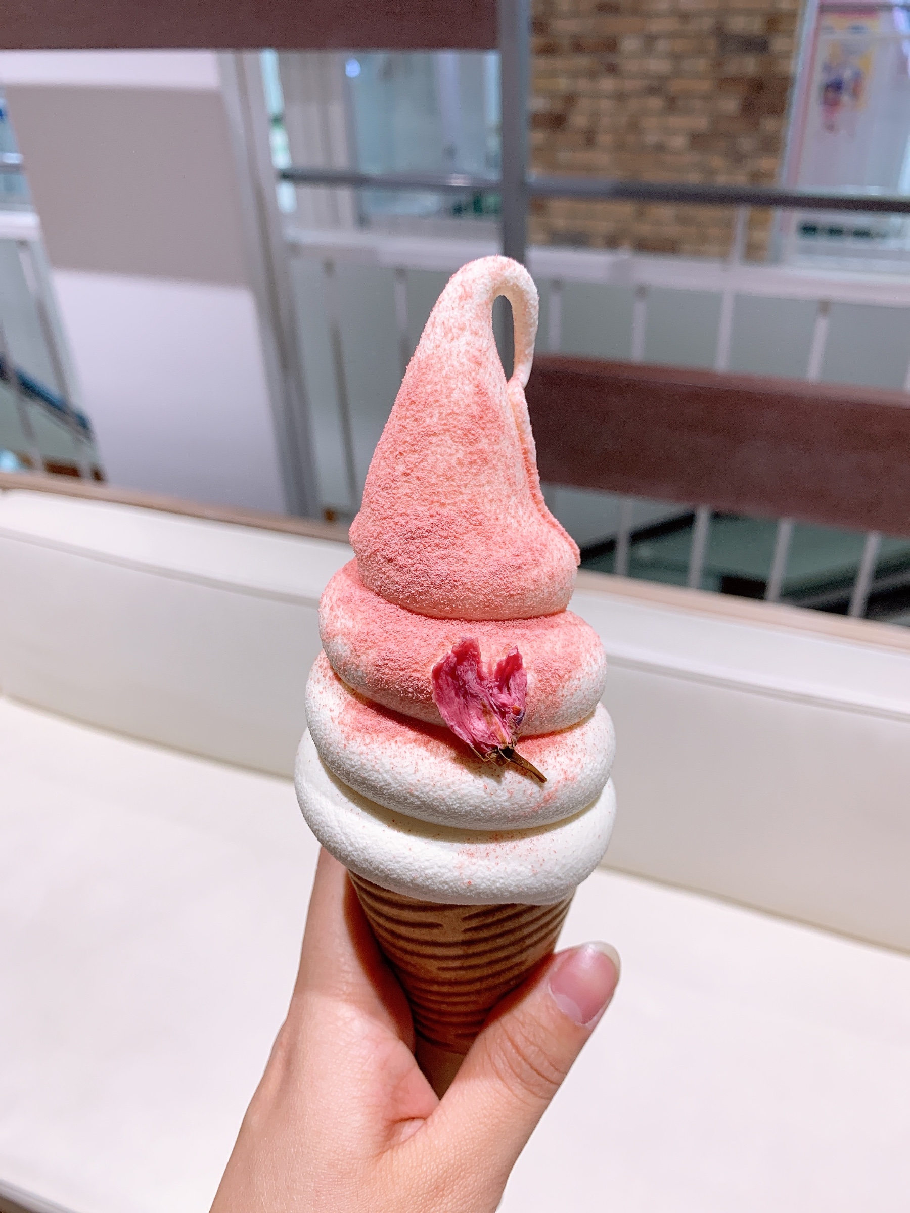 スタッフが撮影した画像