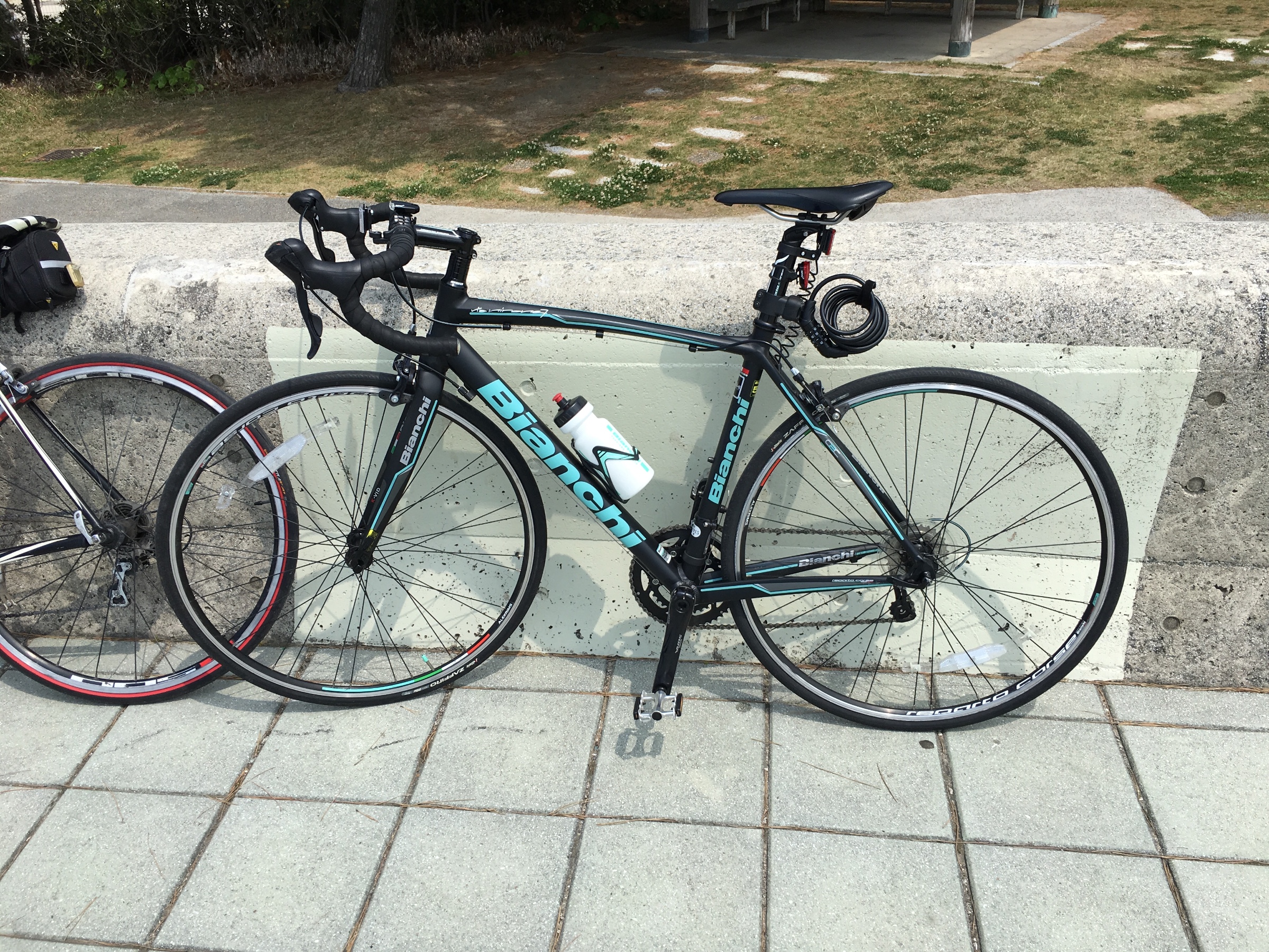 自転車