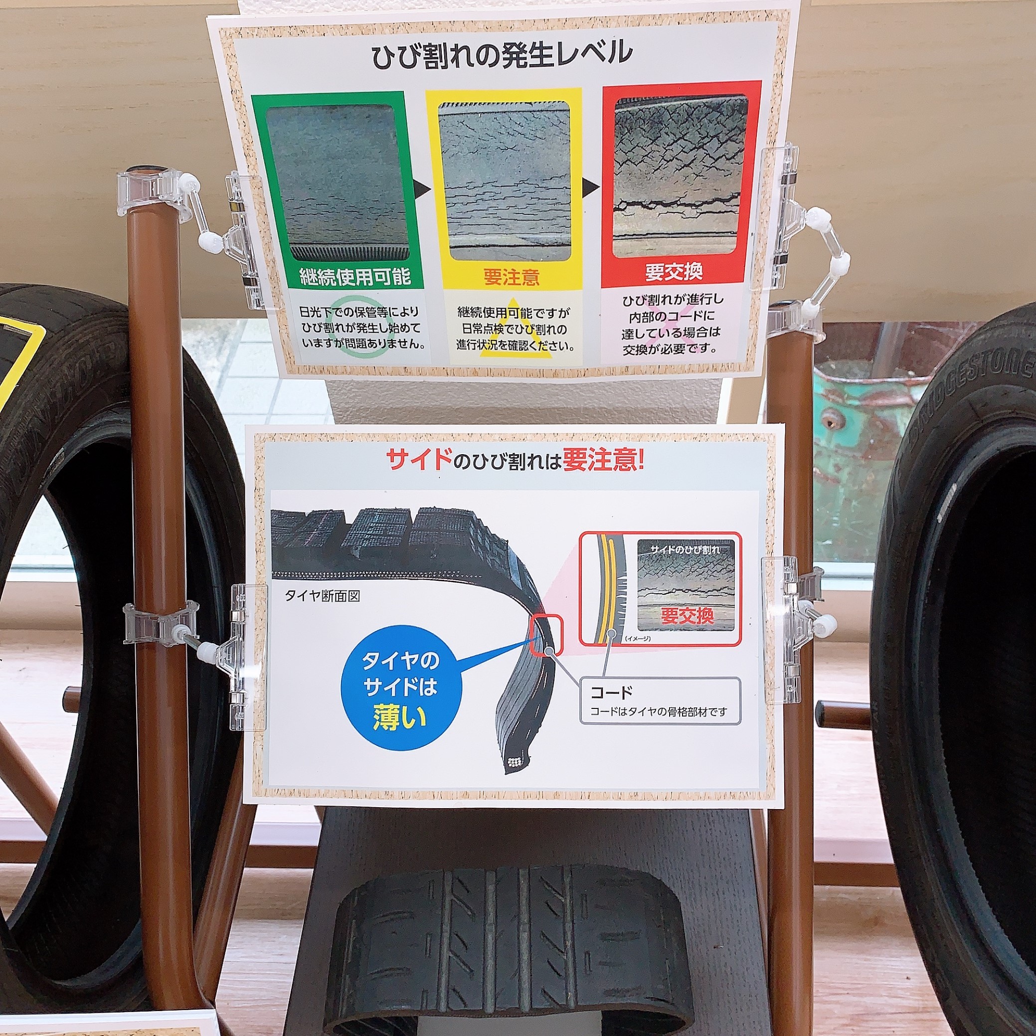 スタッフが撮影した画像です。