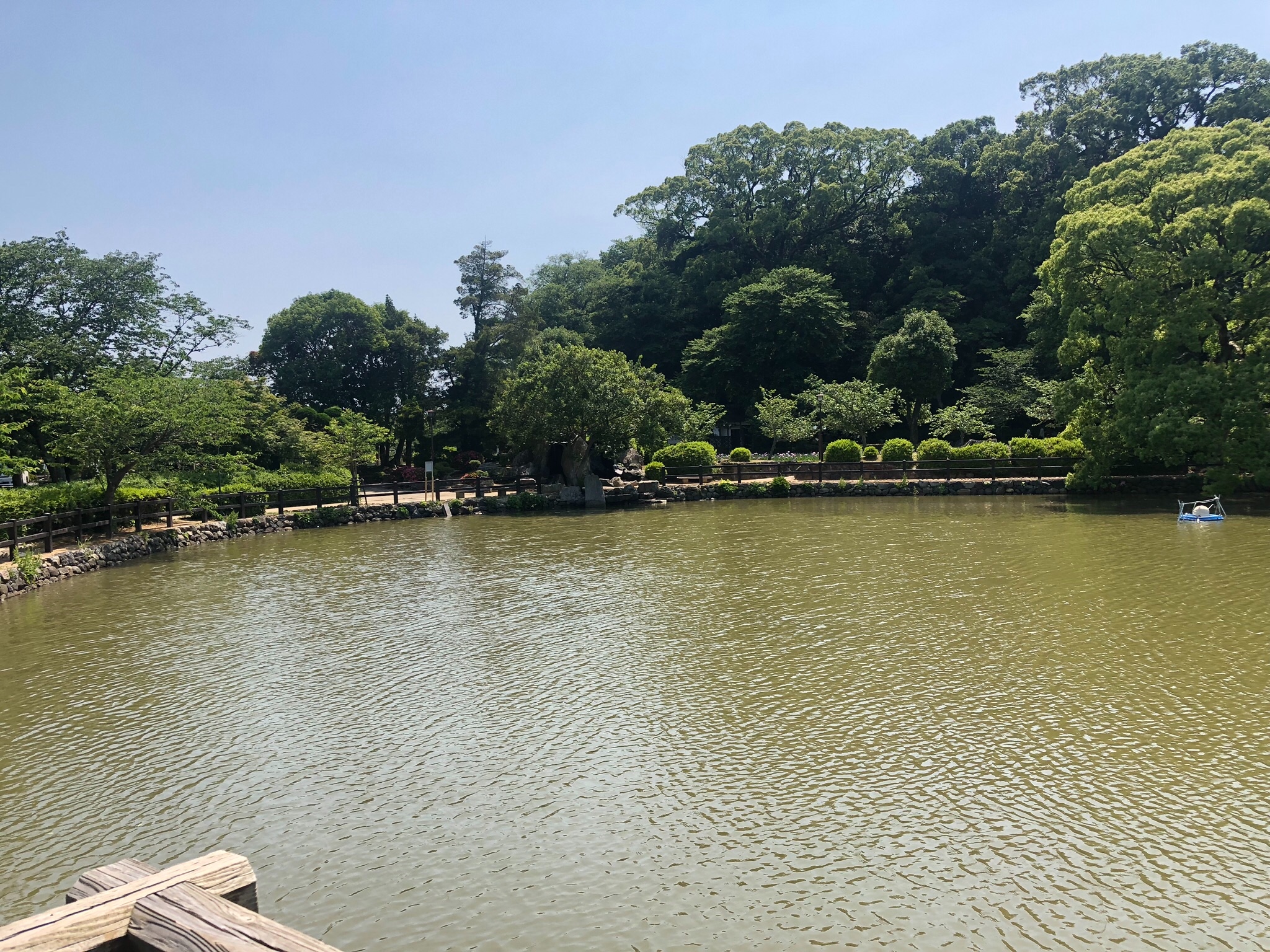 大村公園散策、そして猫  スタッフブログ  タイヤ館 武雄  タイヤ 