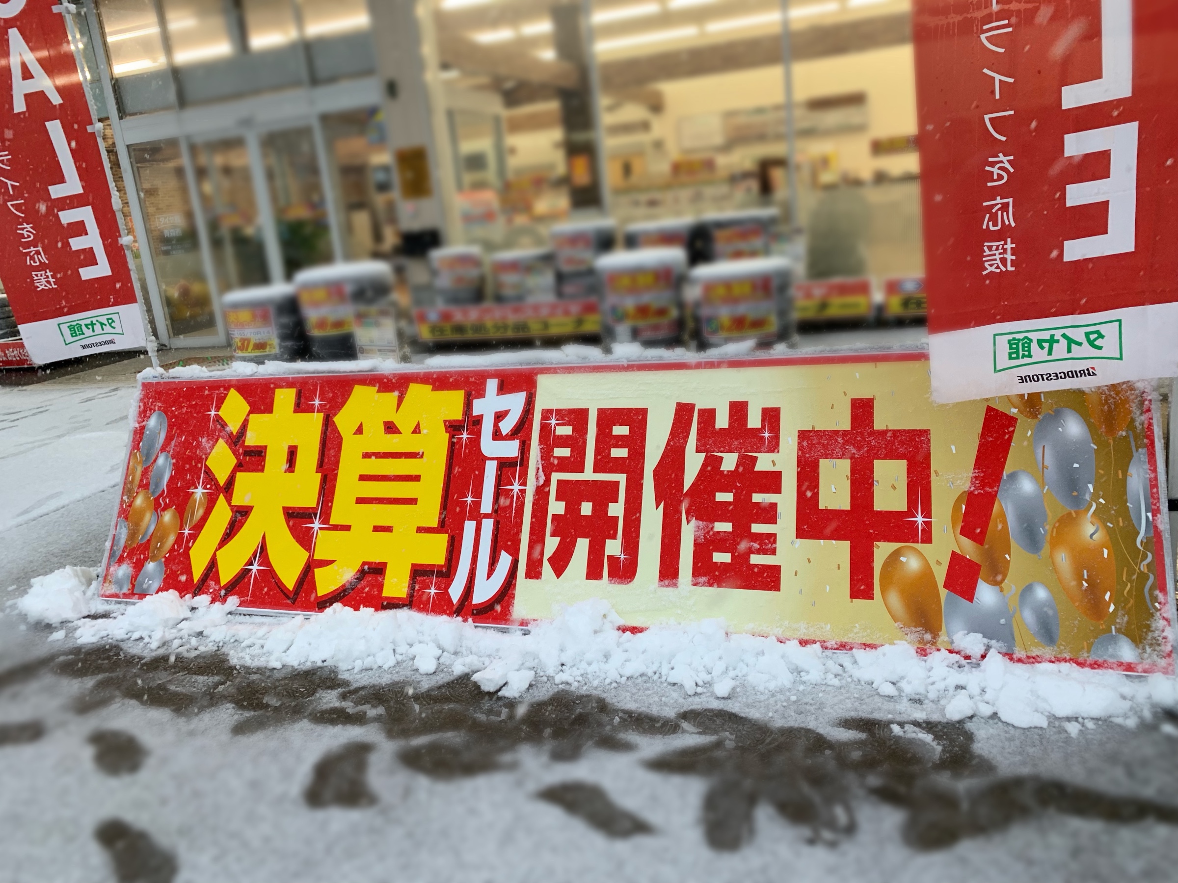 スタッフが撮影した画像です。
