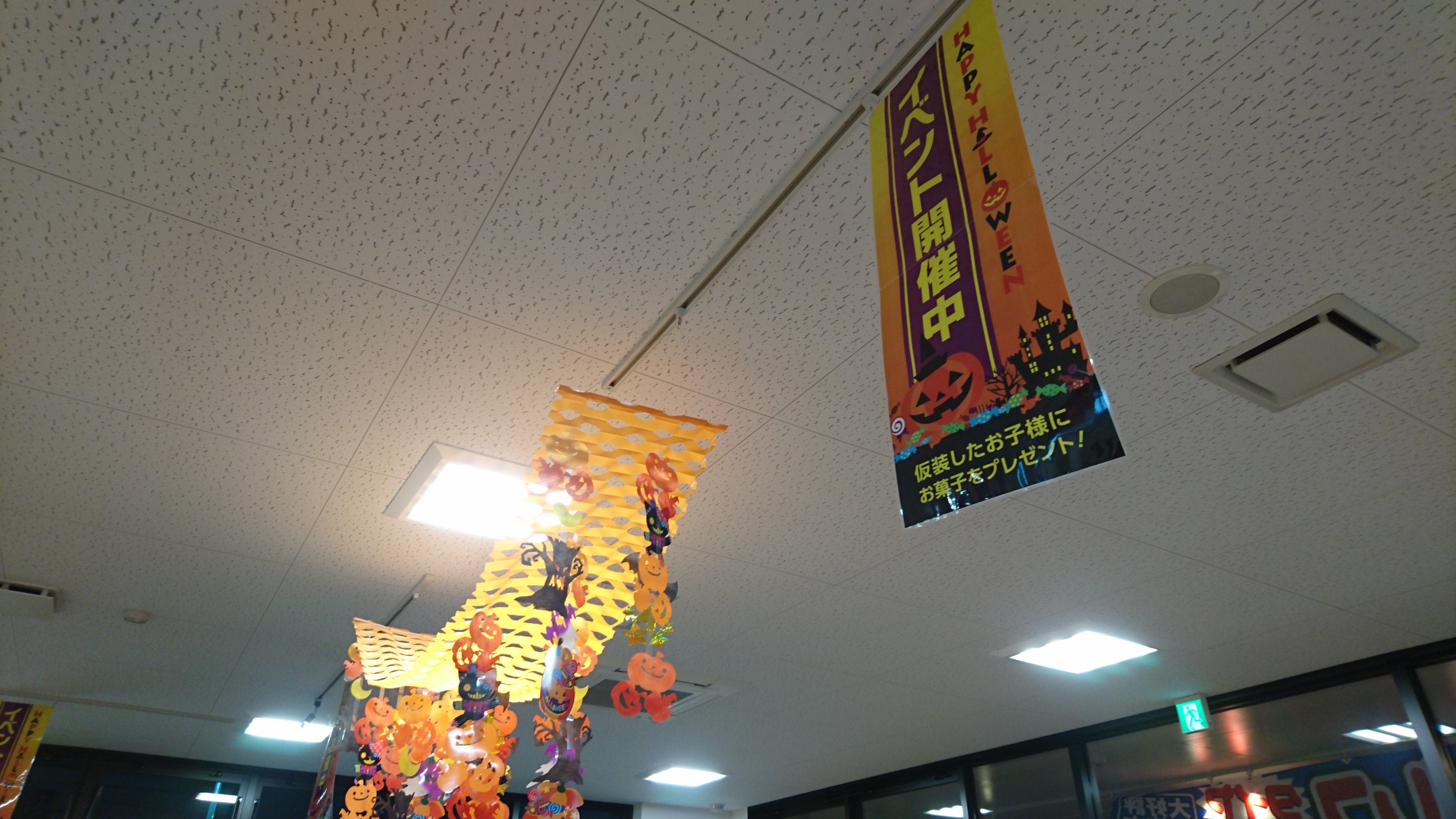 スタッフ撮影写真