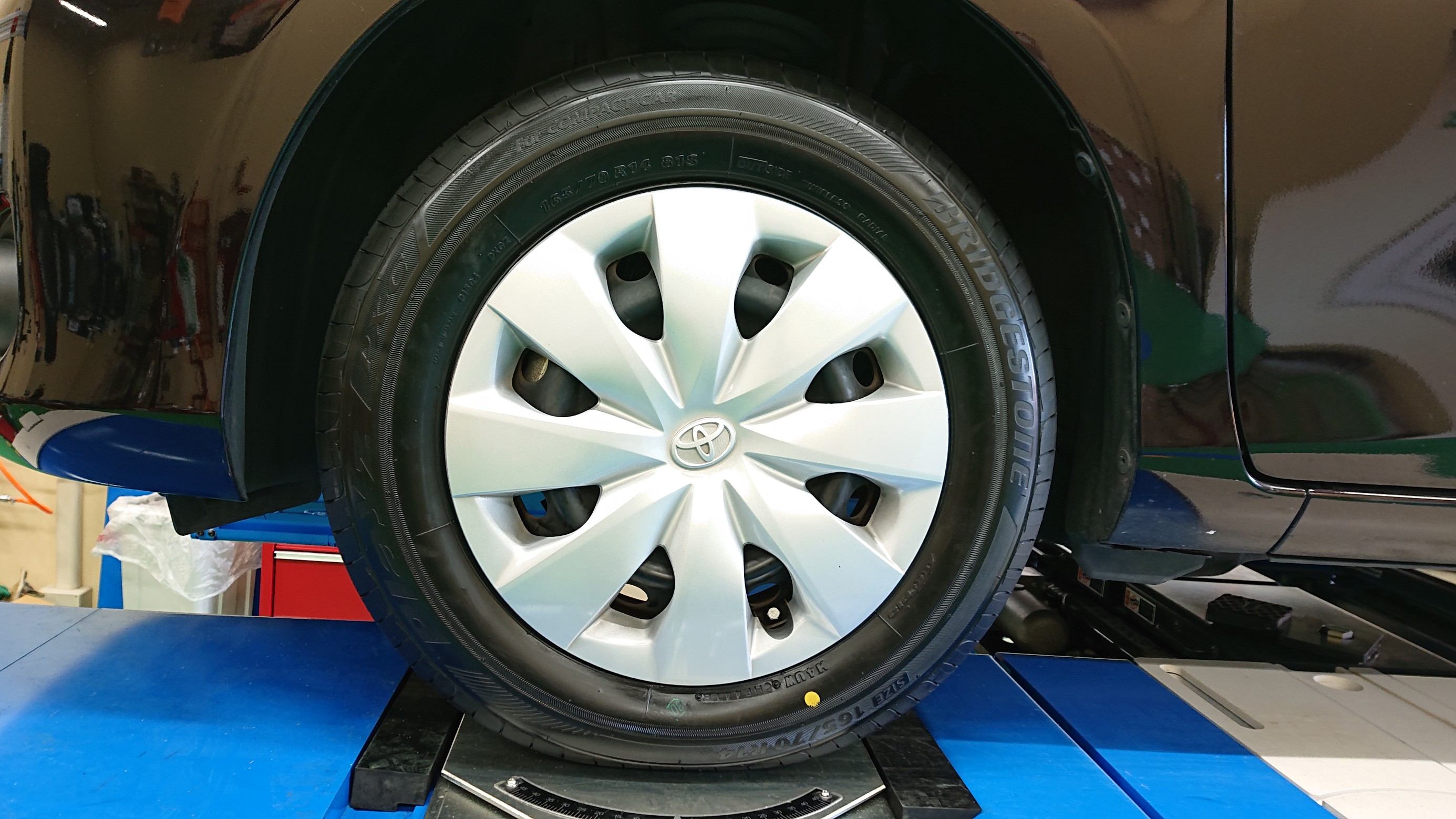 スタッフの撮影した画像です