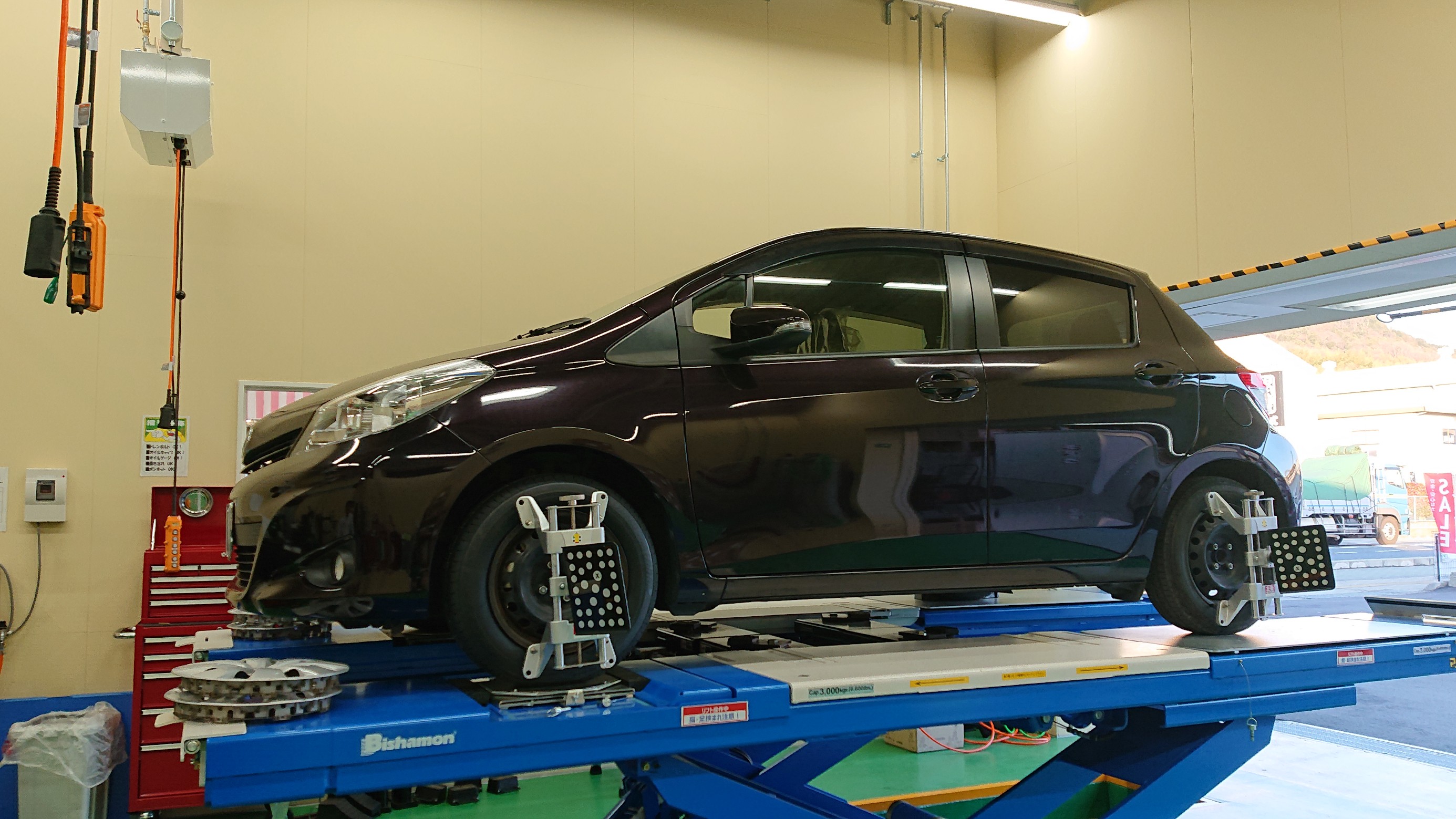 スタッフの撮影した画像です。