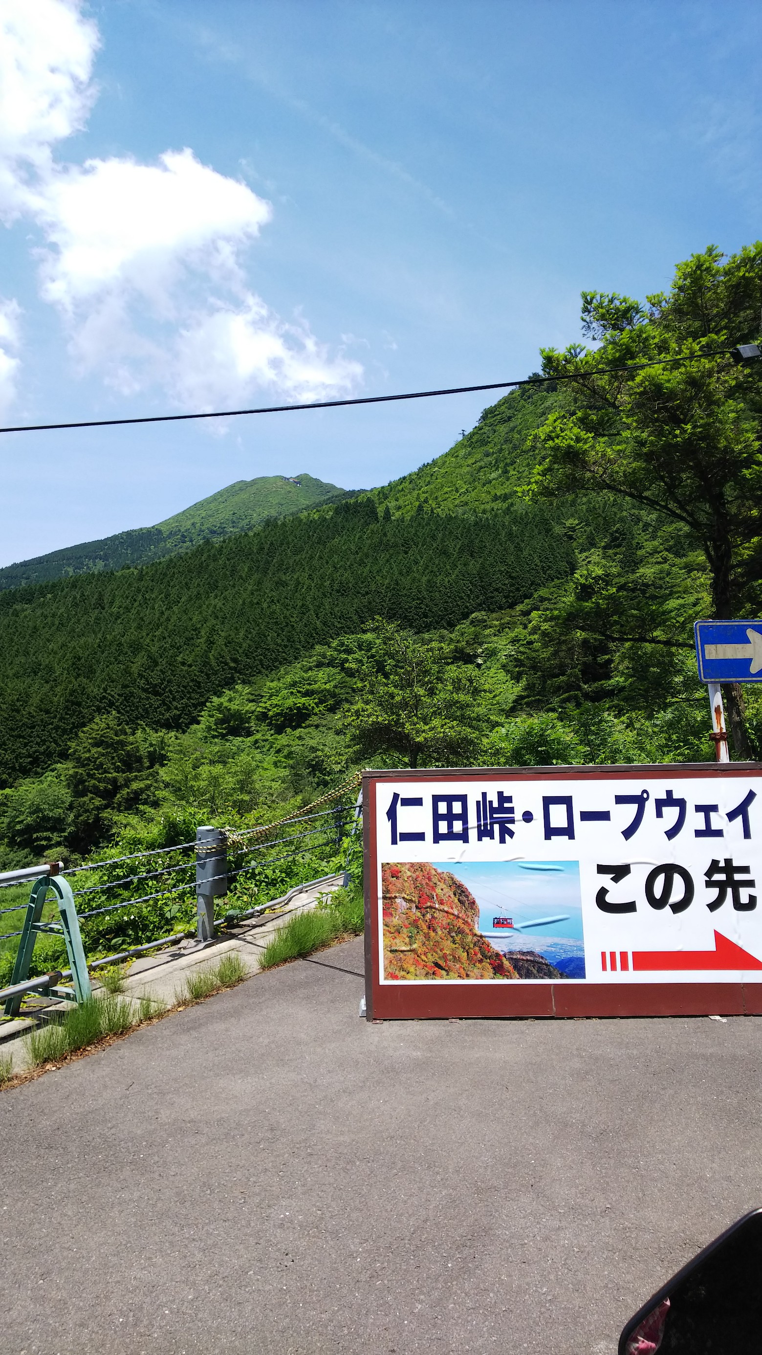 スタッフ撮影です。