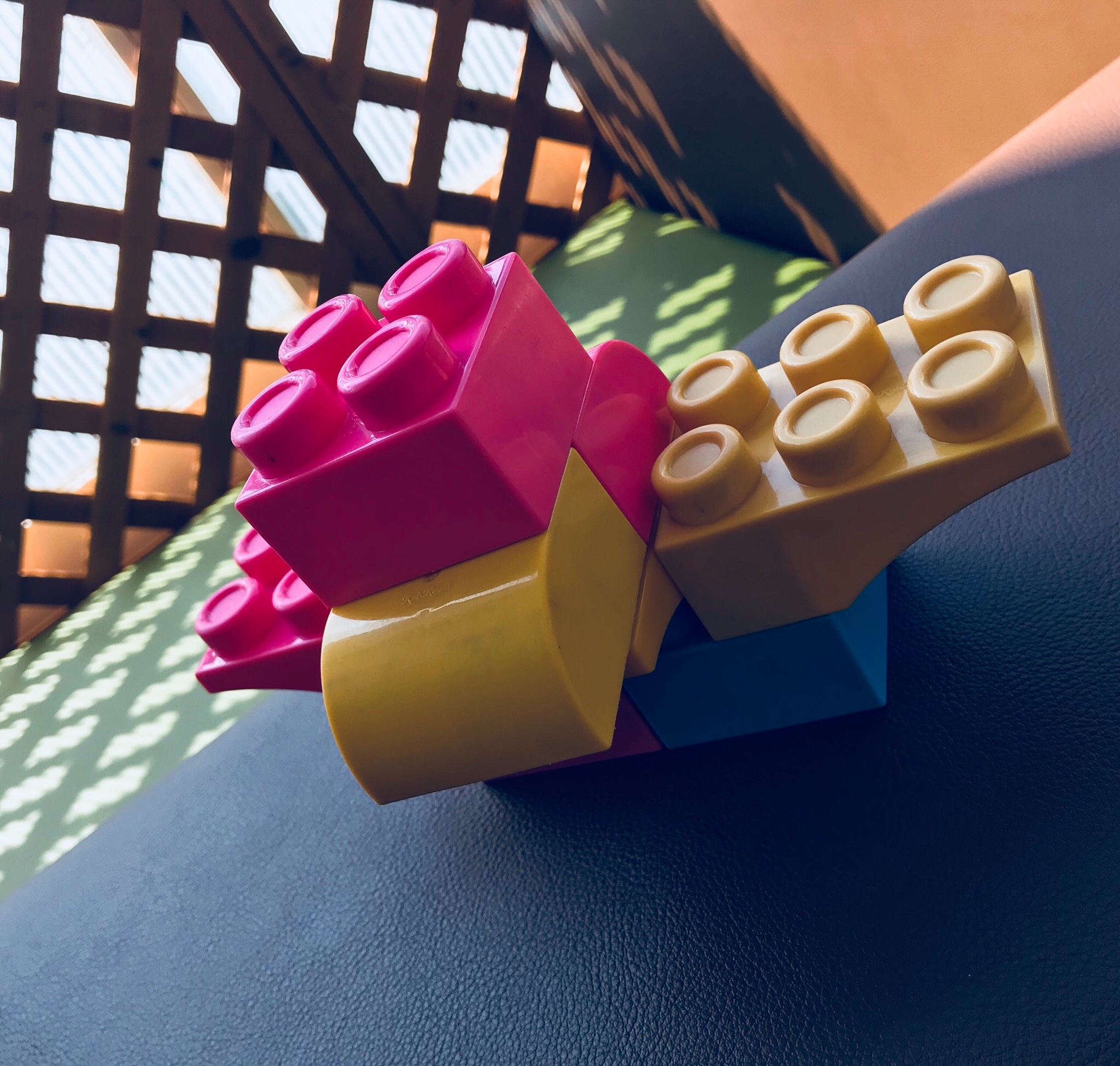 スタッフが撮影した画像です。