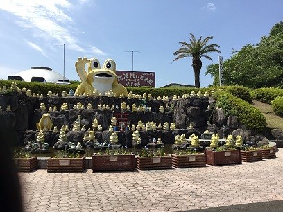 かえる・・・多いな！