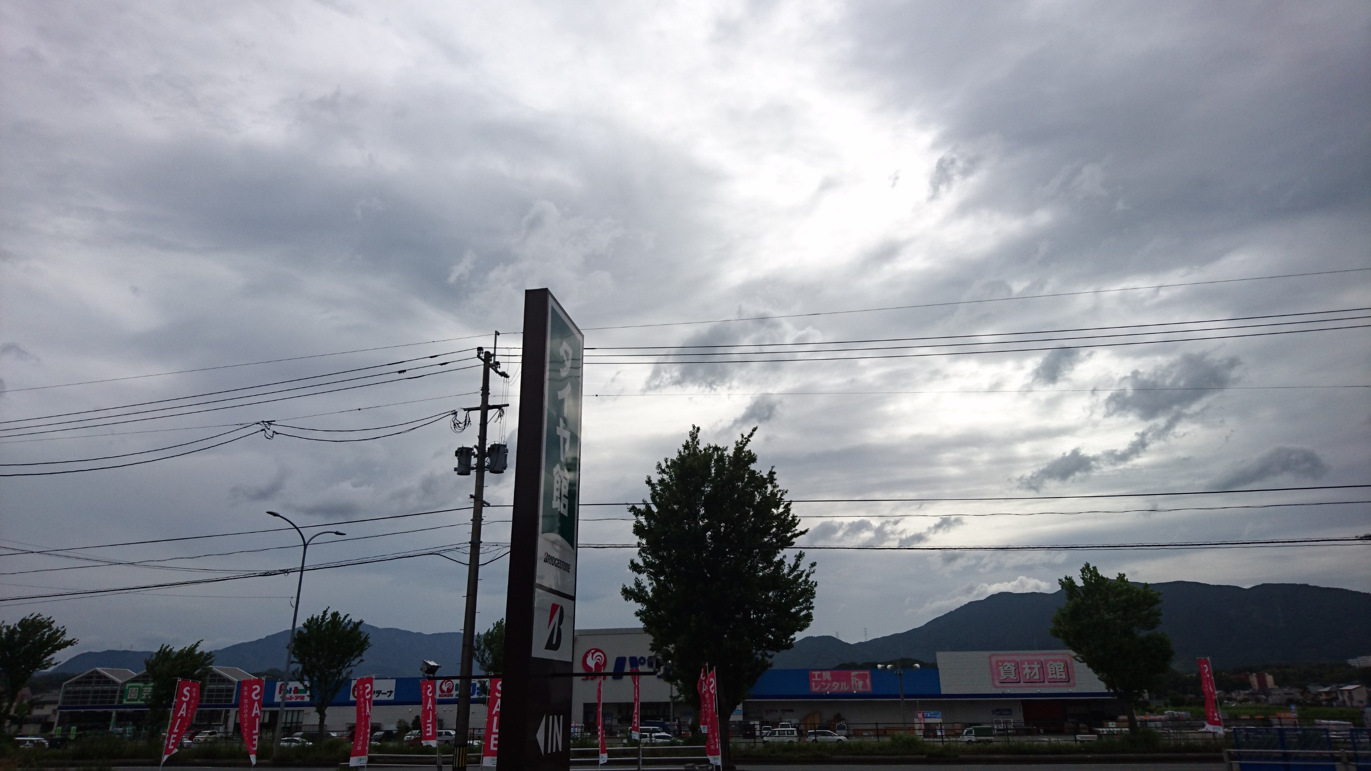 スタッフ撮影写真