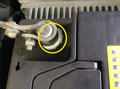 ウェイド 胆嚢 ペチュランス バッテリー マイナス 端子 白い 粉 Hummingpass Com