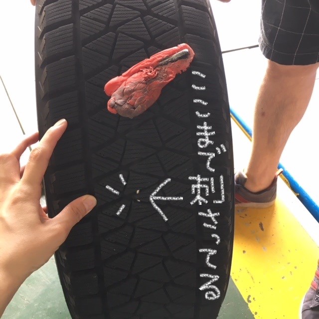 スタッフ撮影（文字はペイントです）