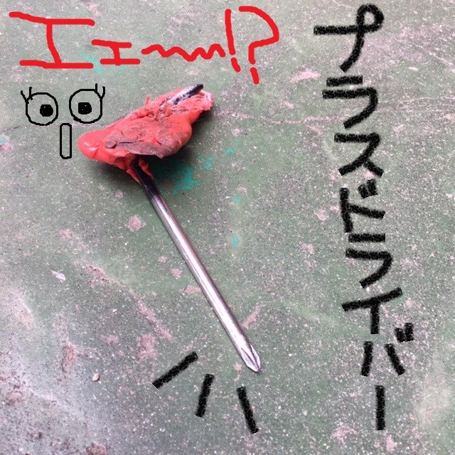 スタッフ撮影（文字はペイントです）