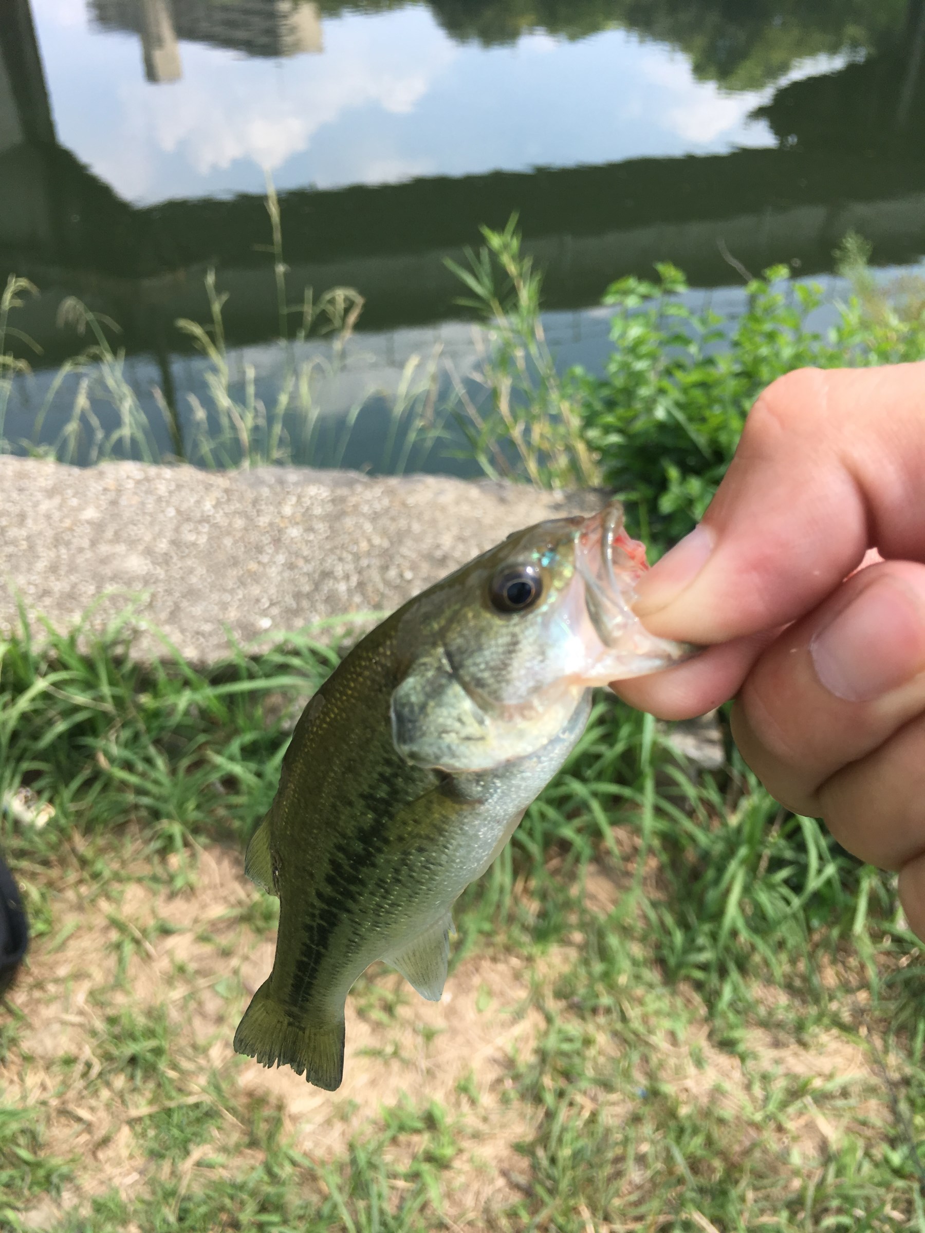 スタッフが撮影