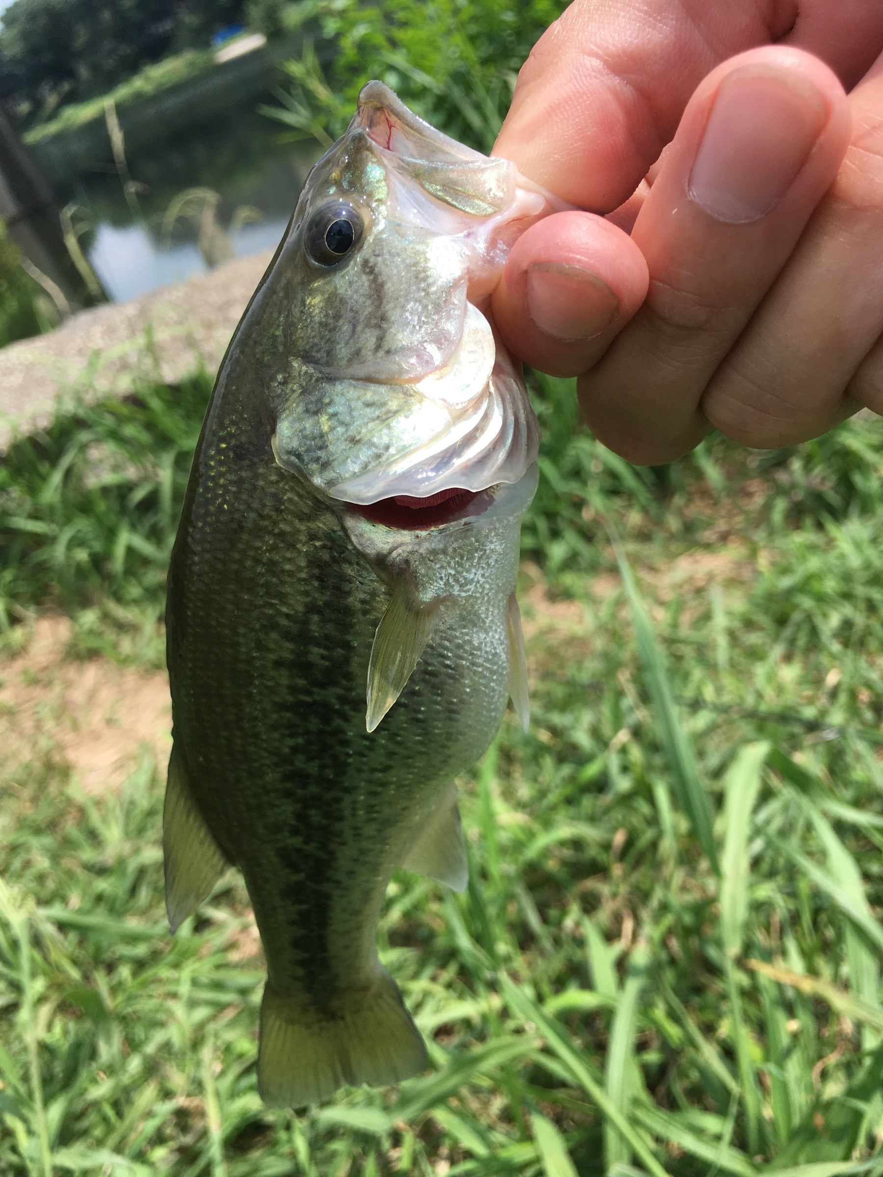 スタッフが撮影