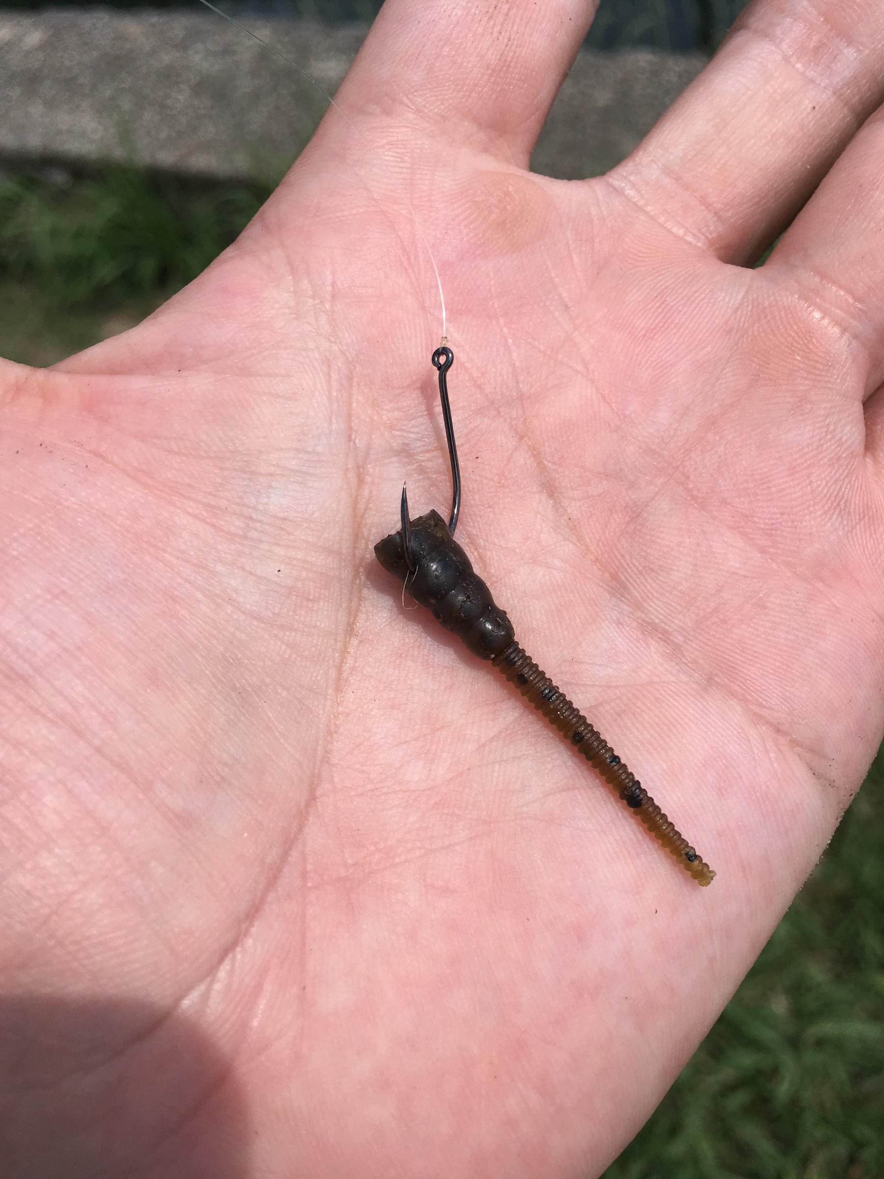 スタッフが撮影