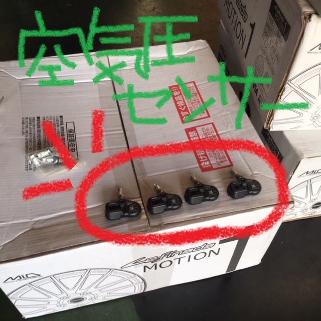 スタッフ撮影 文字はペイントです。