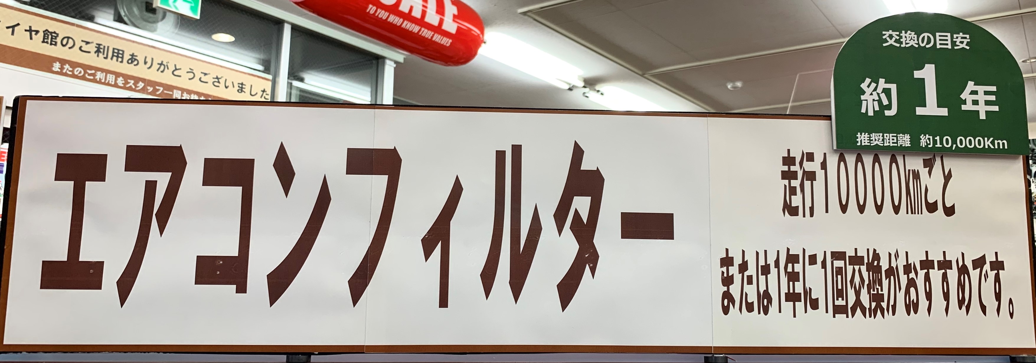 スタッフ撮影