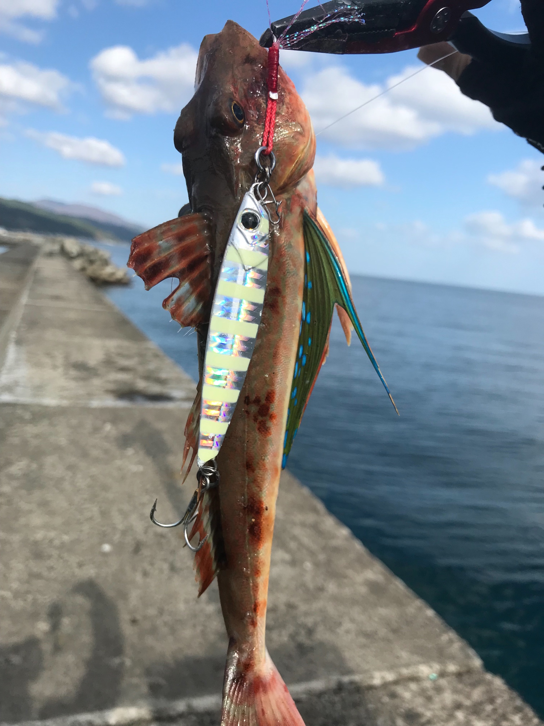 冬もショアジギング スタッフ日記 タイヤ館 青森中央 タイヤからはじまる トータルカーメンテナンス タイヤ館グループ