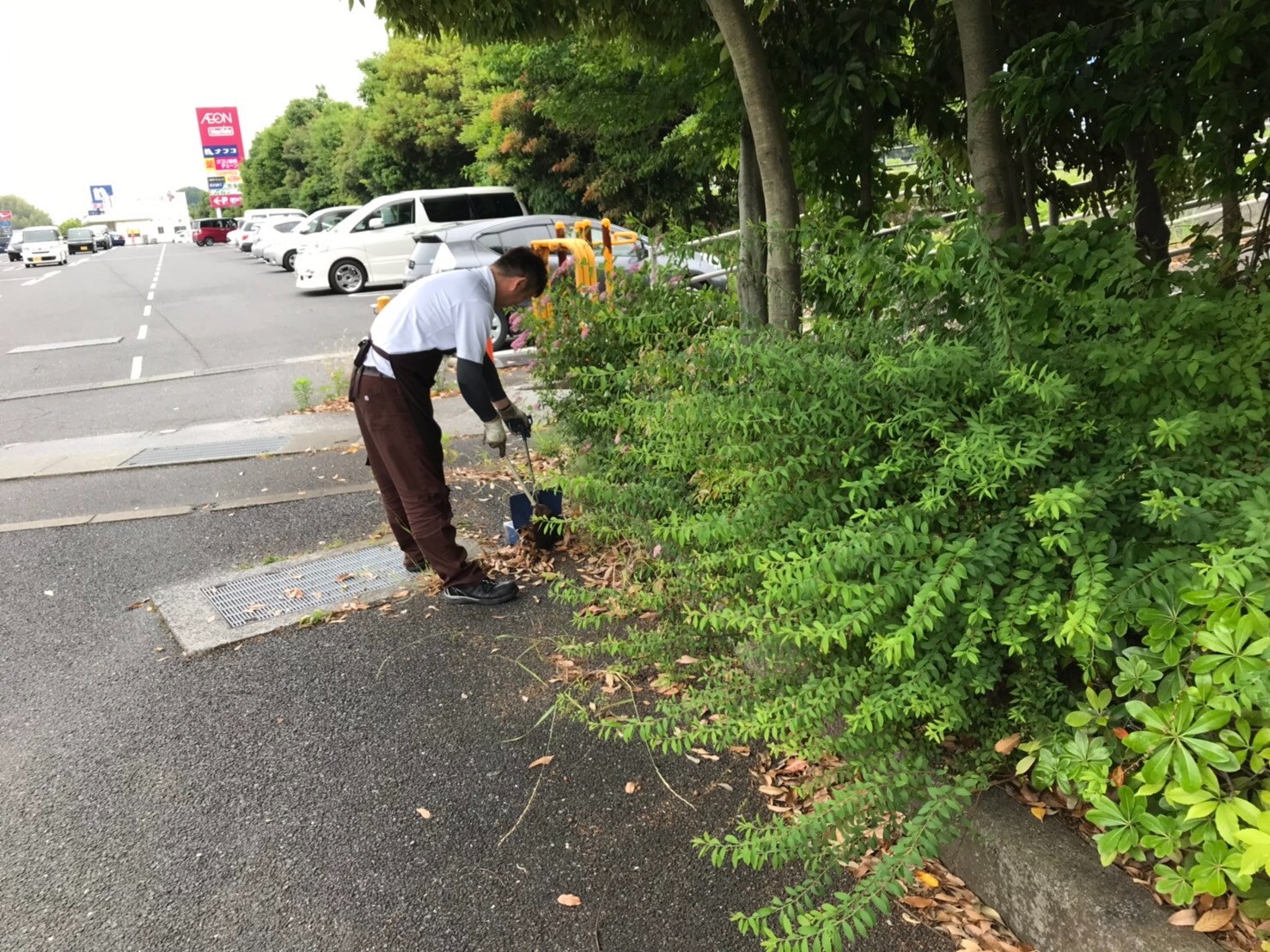 自分が撮影してます
