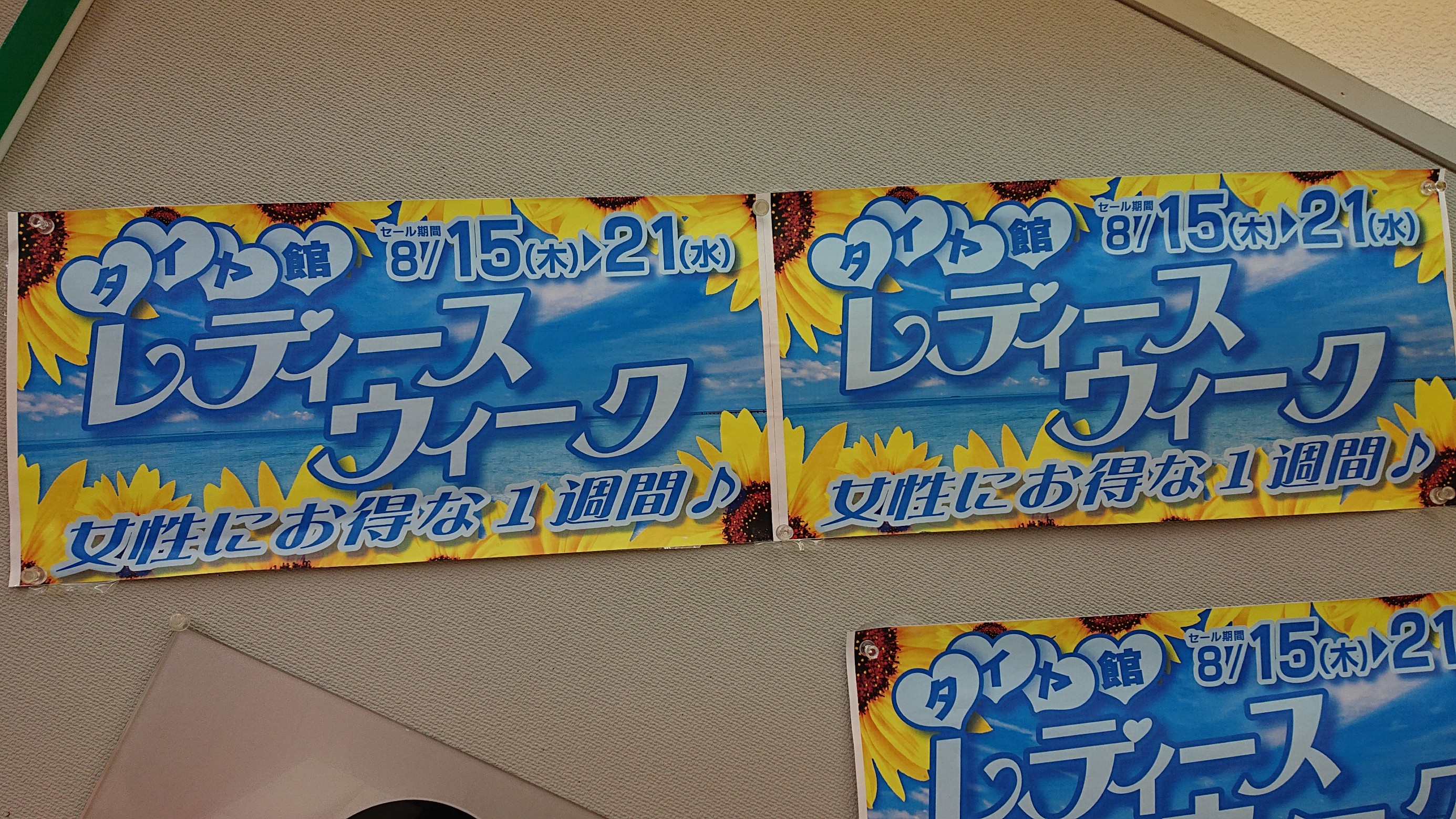スタッフが撮影した画像です。