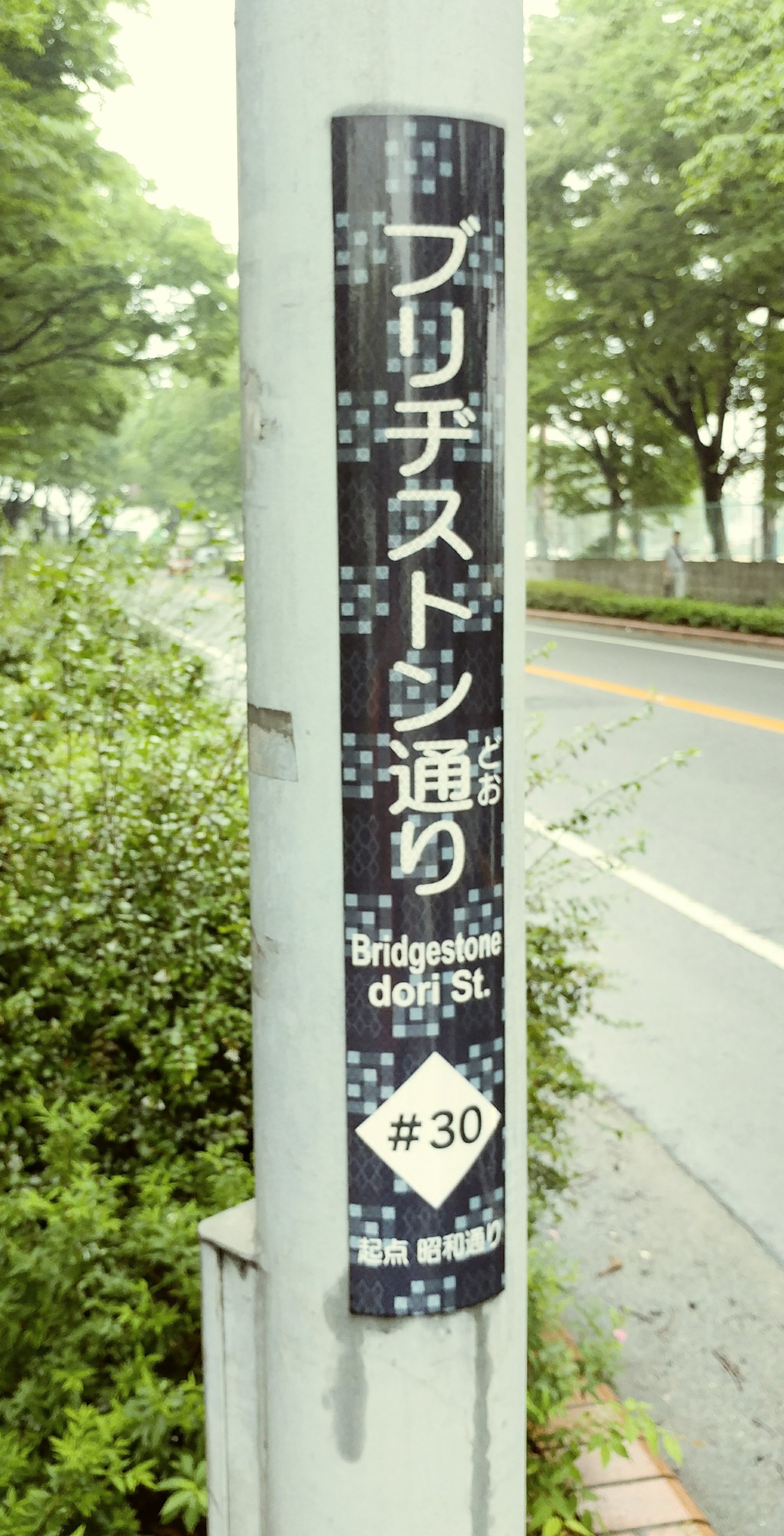 スタッフ撮影
