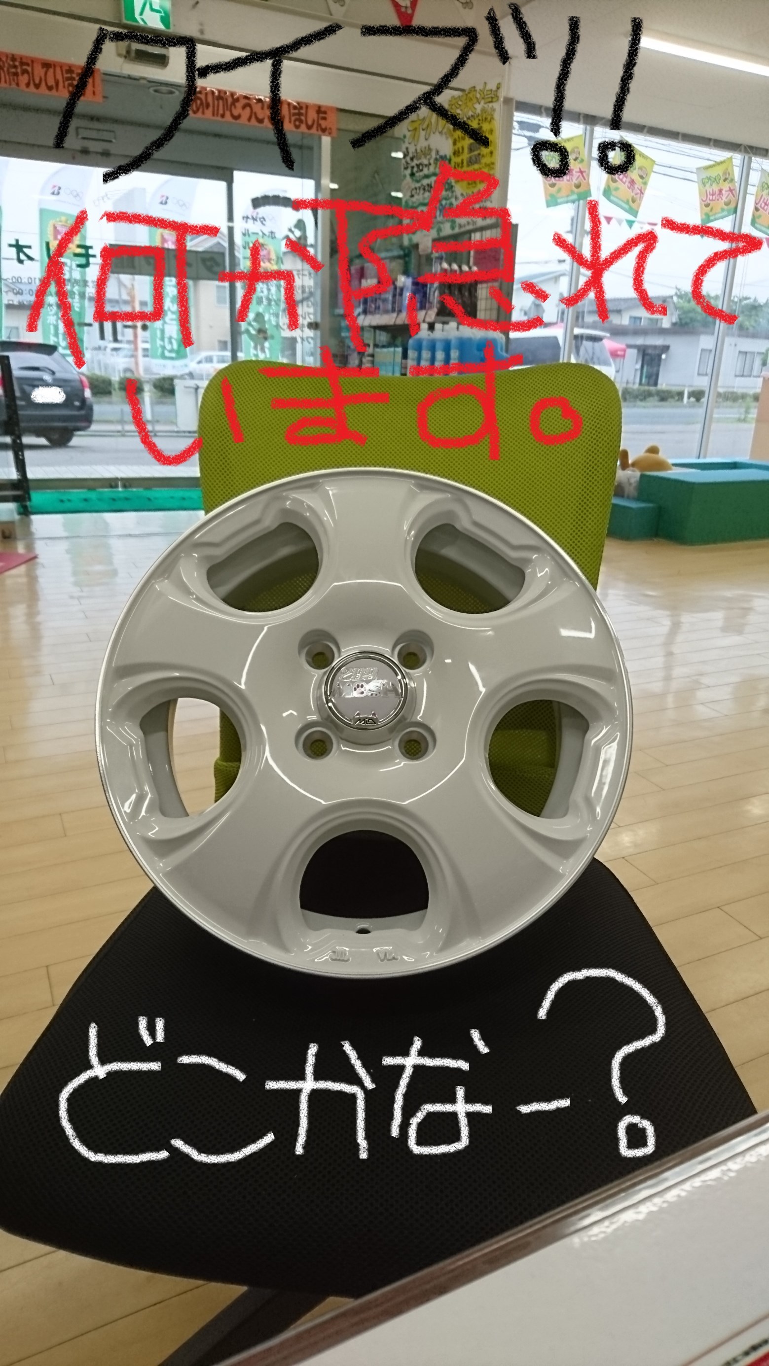 スタッフ撮影