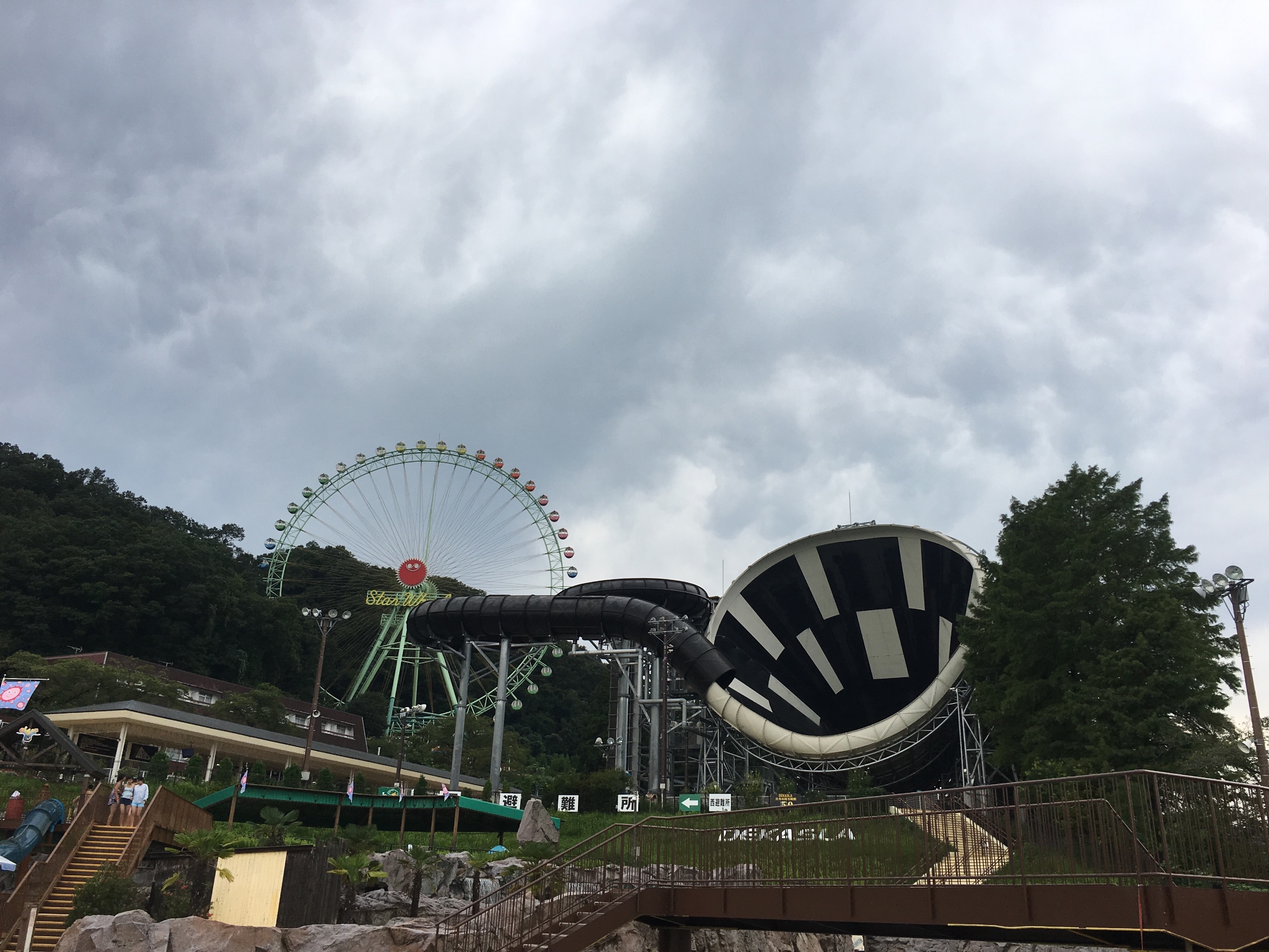 スタッフが撮影したものです