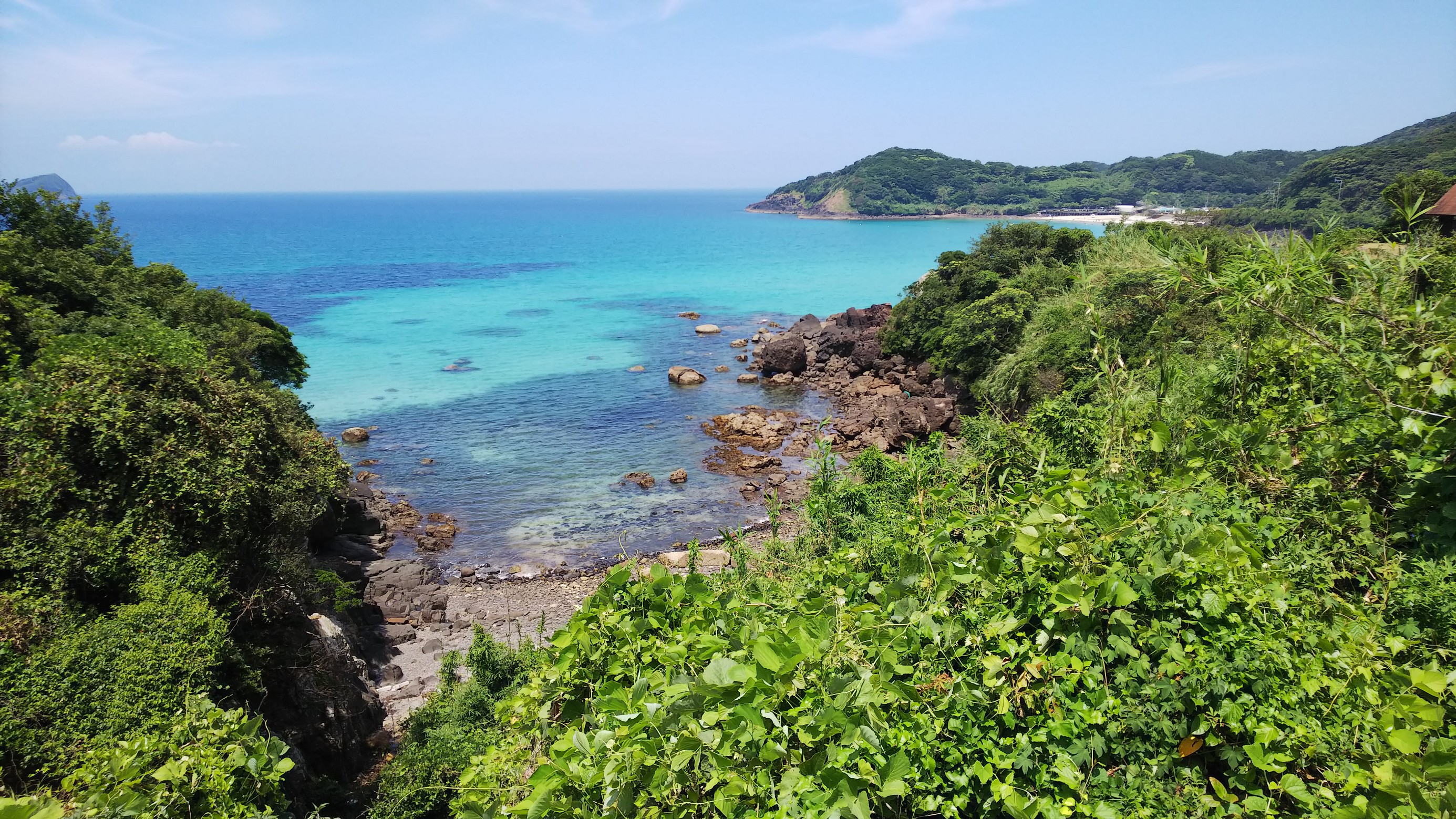 スタッフ撮影です。