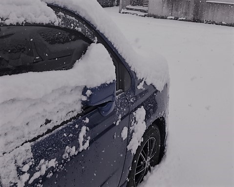 スタッフ撮影　ペイントで画像編集しています。