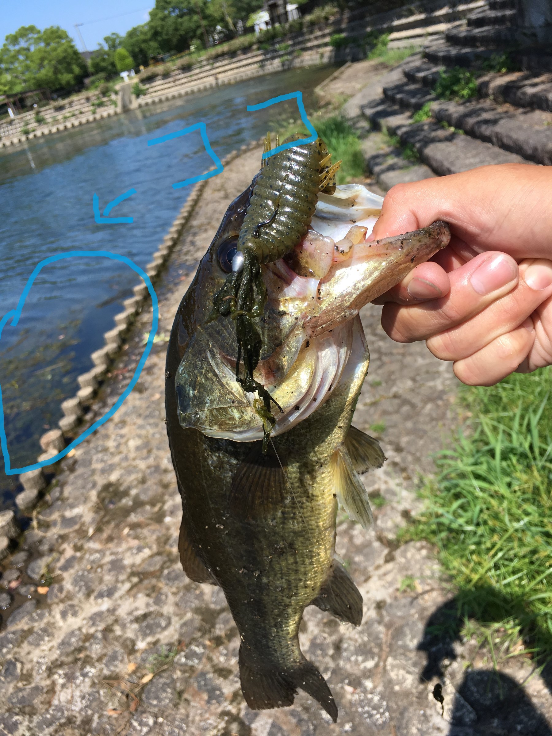 スタッフが撮影