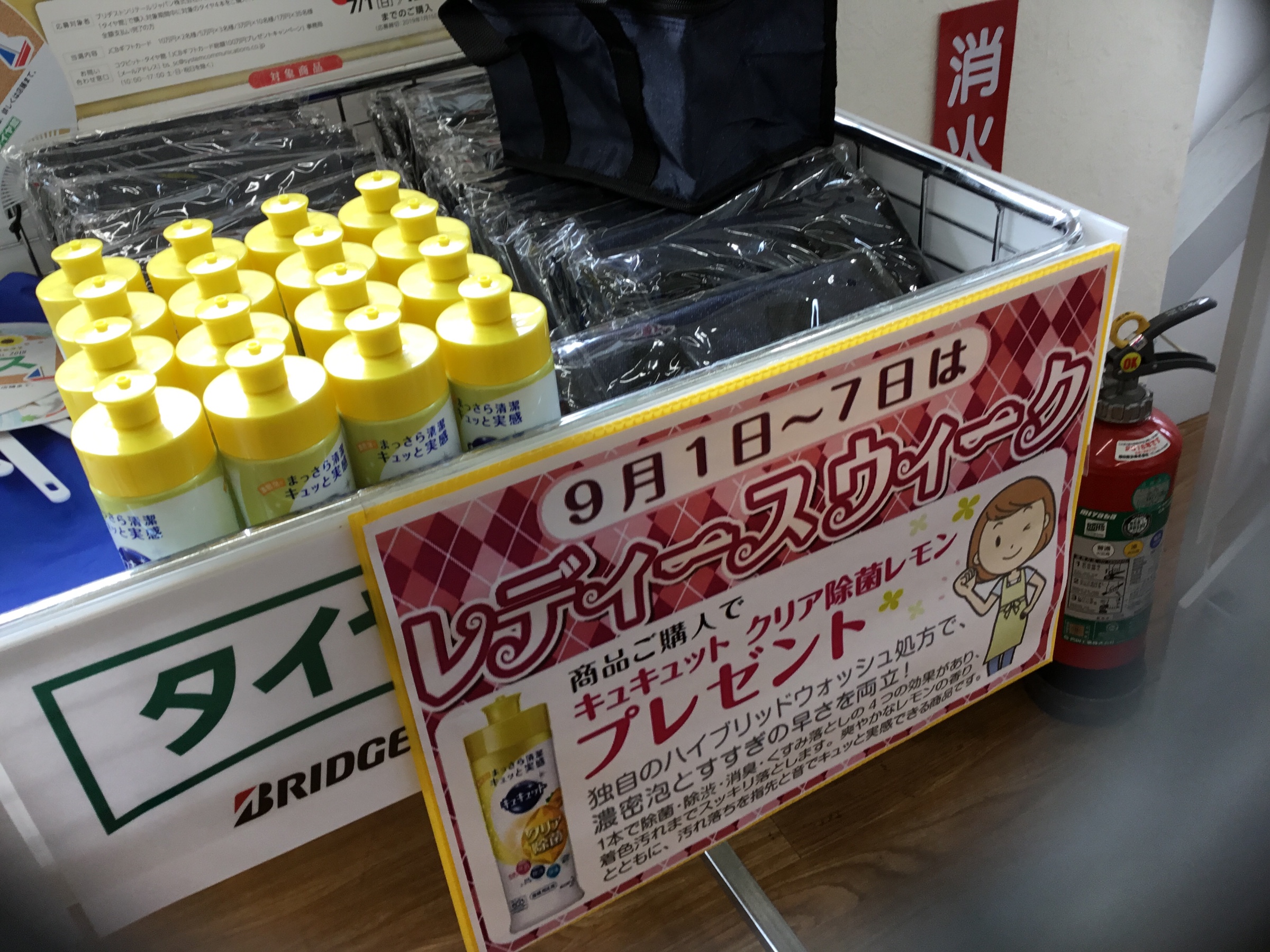 スタッフが撮影した写真です。