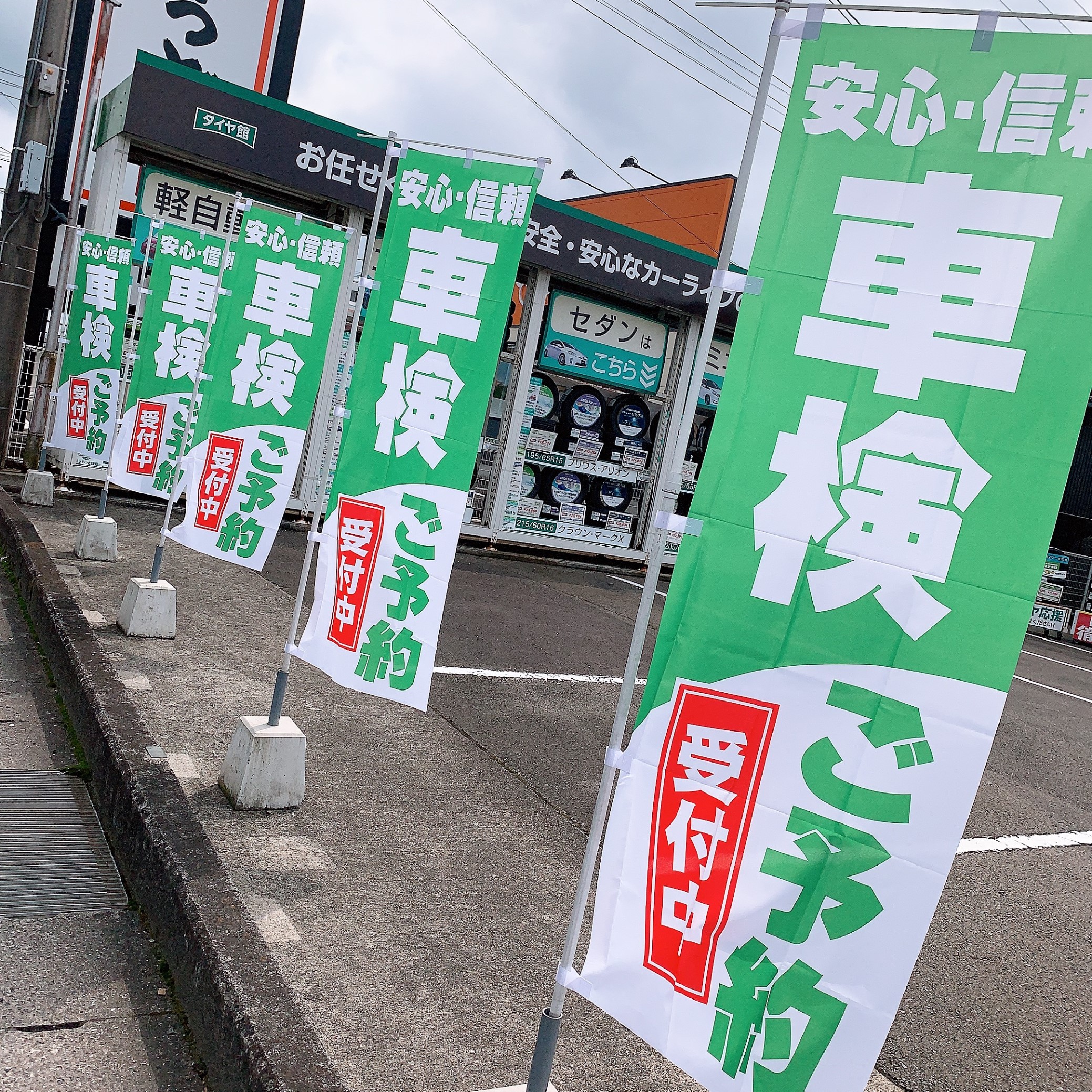 スタッフが撮影した画像です。