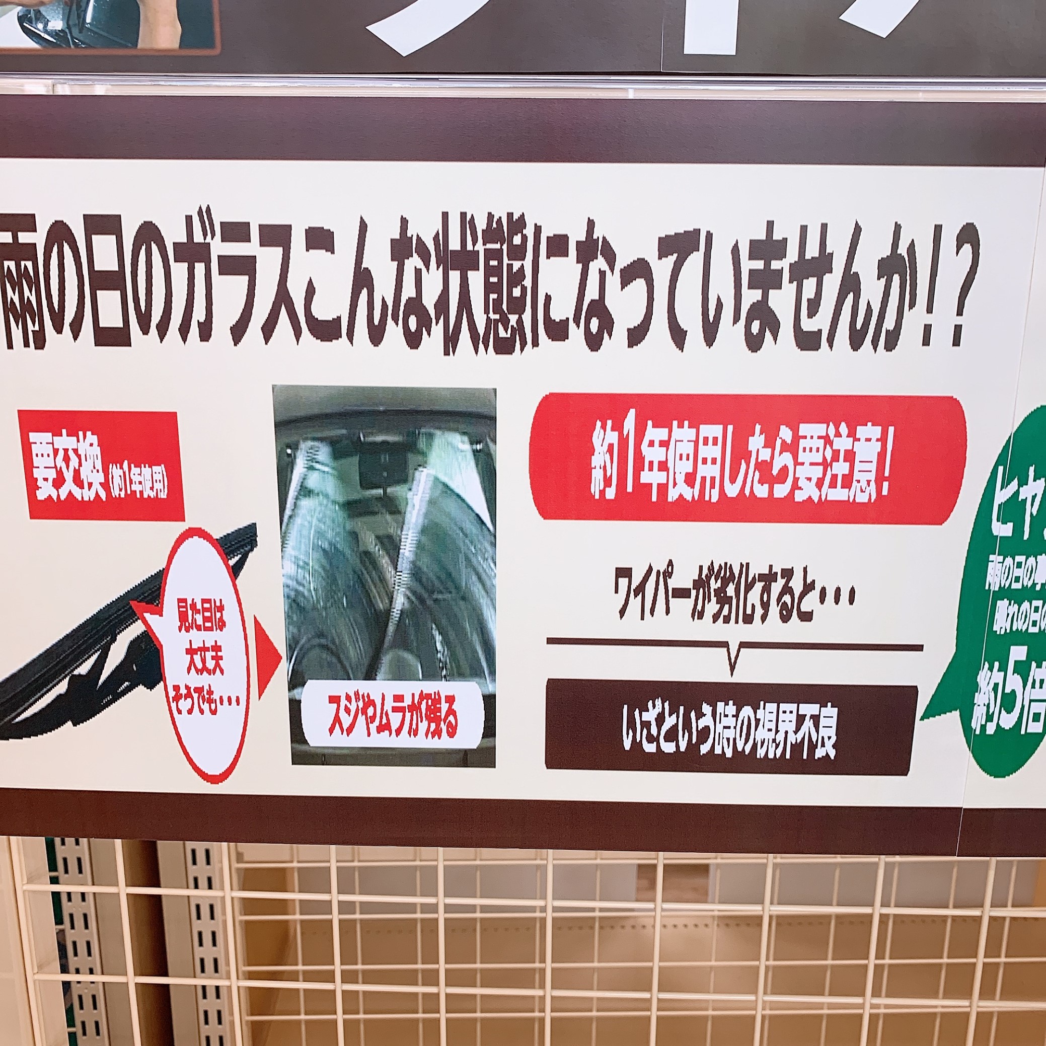 スタッフの撮影した写真です。