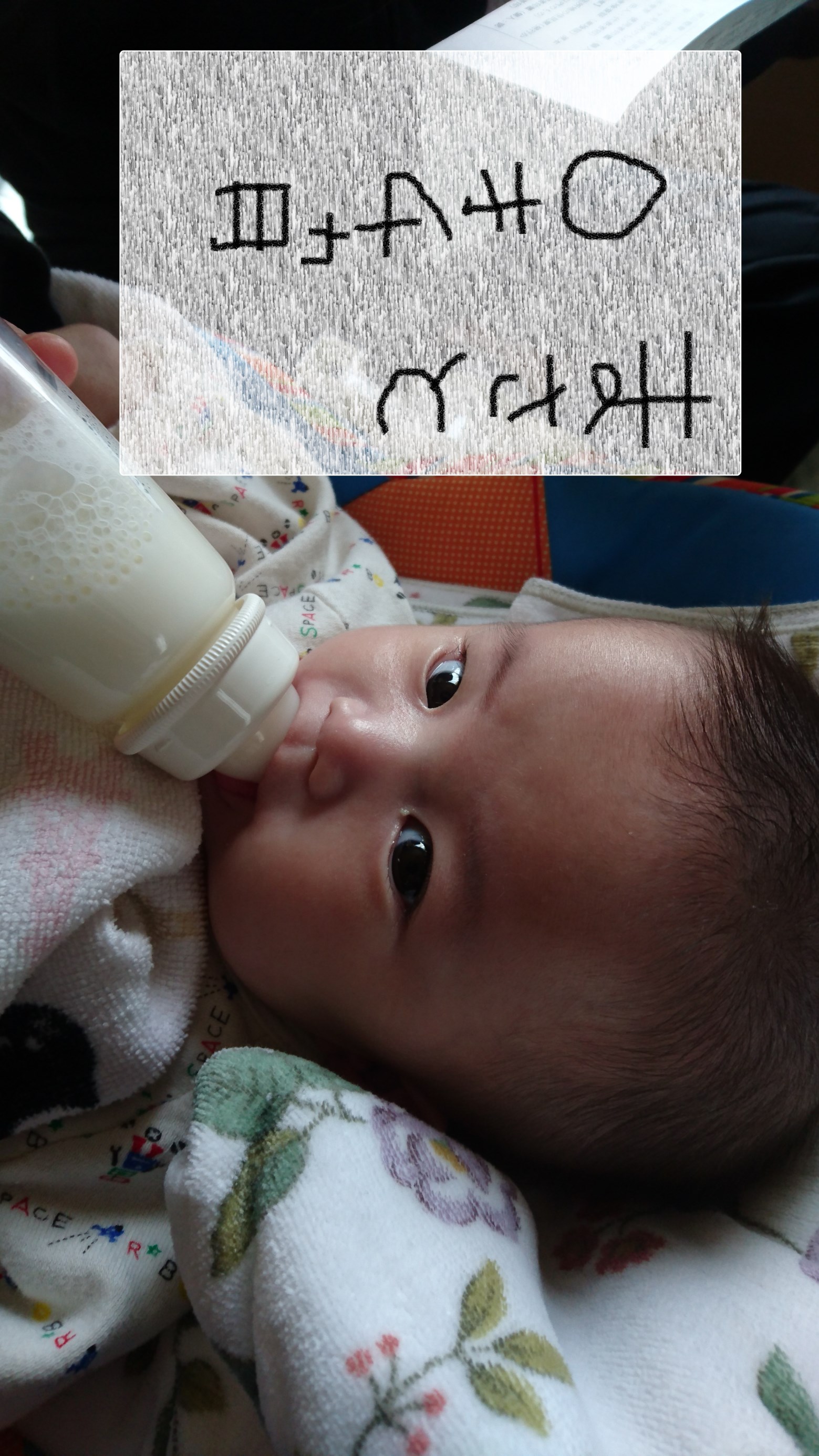 スタッフ撮影　文字はペイントです。