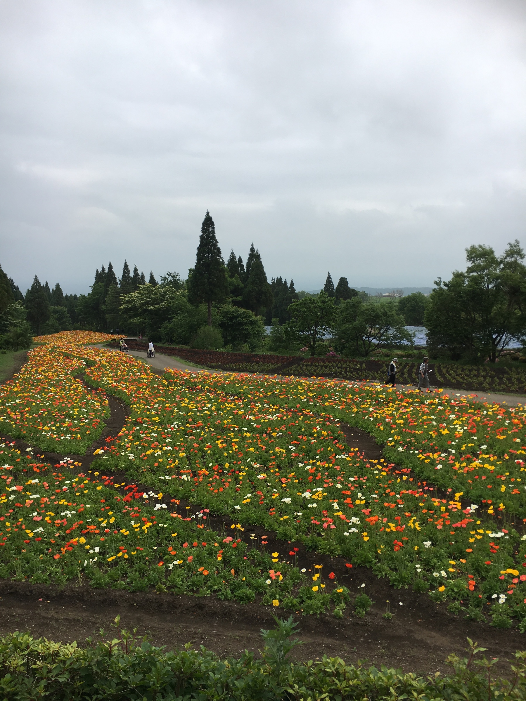 花公園