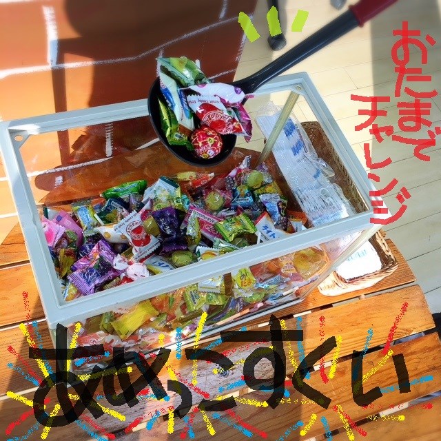 スタッフ撮影（文字はペイントです）