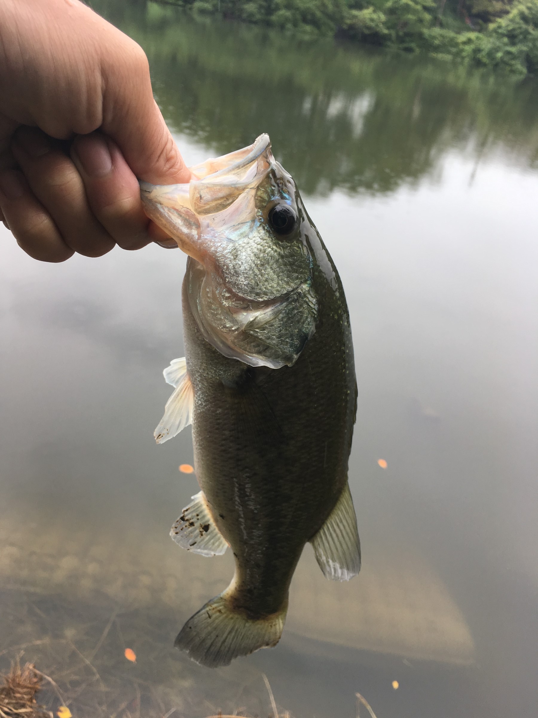 スタッフが撮影