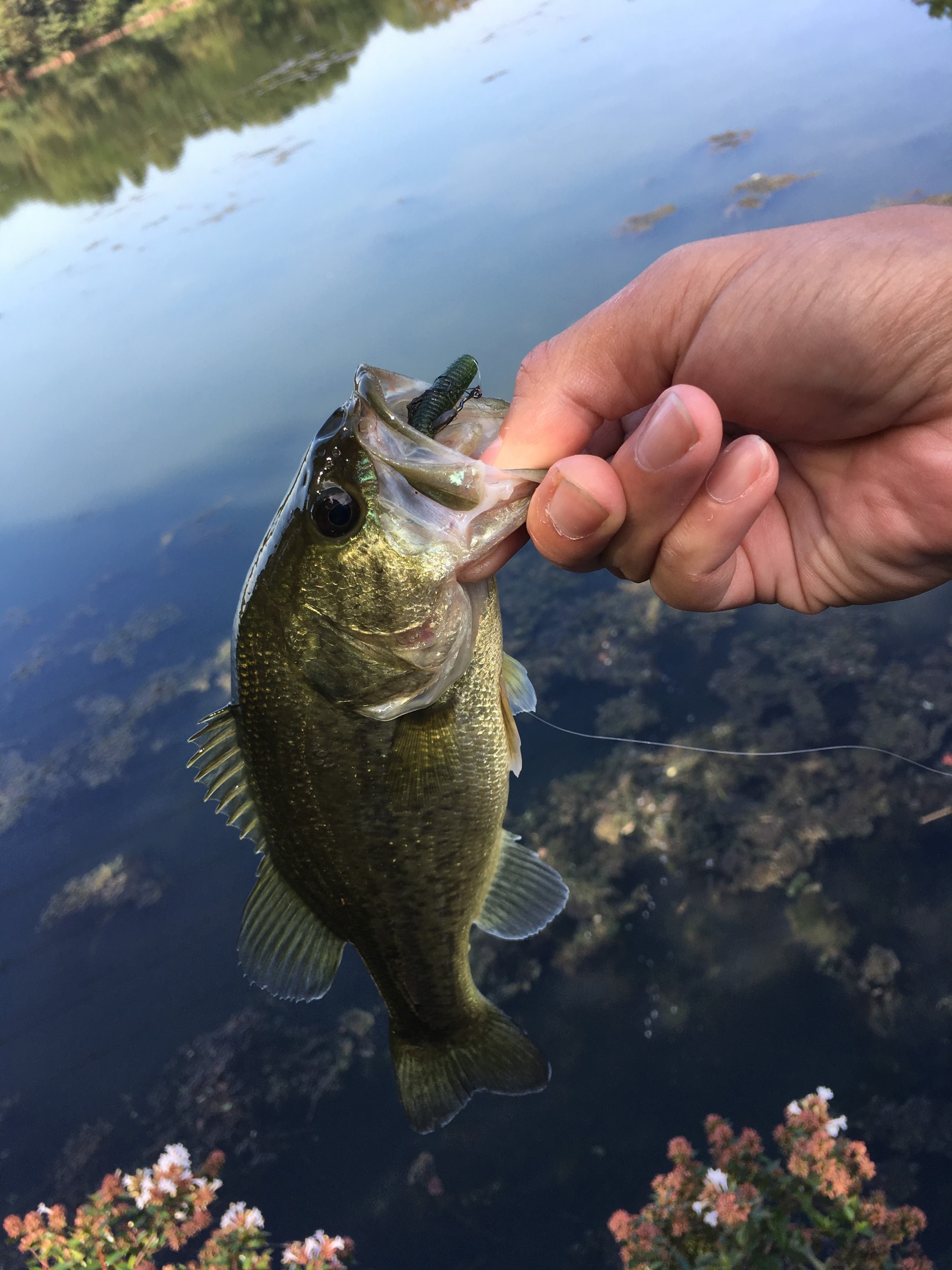 スタッフが撮影