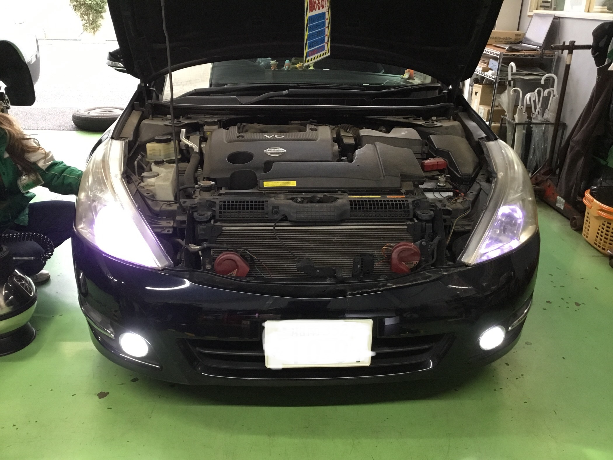 スタッフが撮影した写真です。