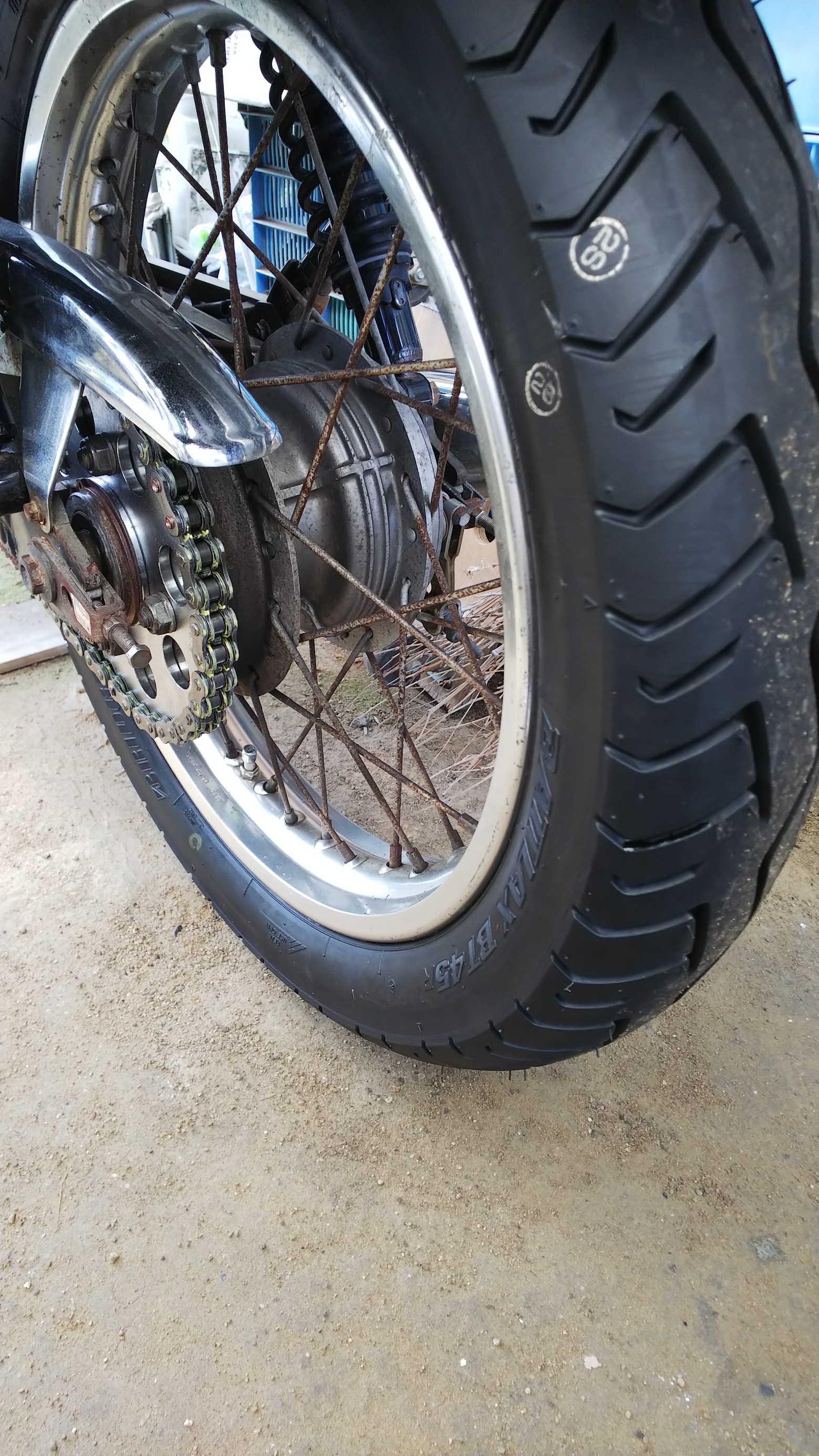 スタッフ撮影です。