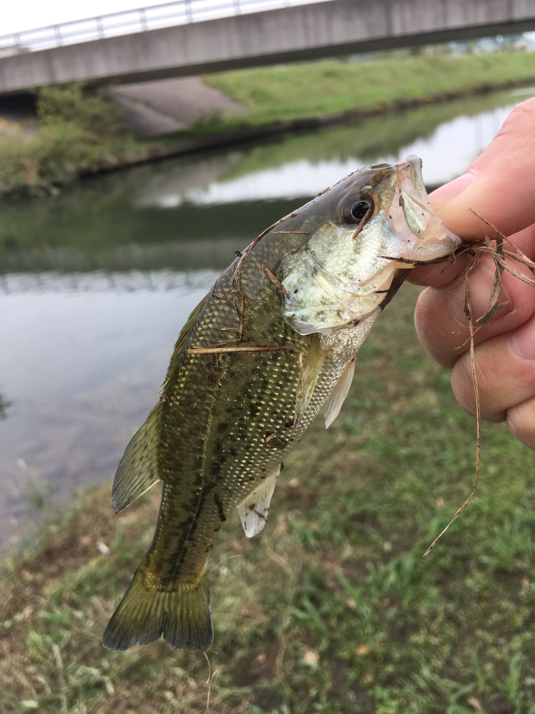 スタッフが撮影