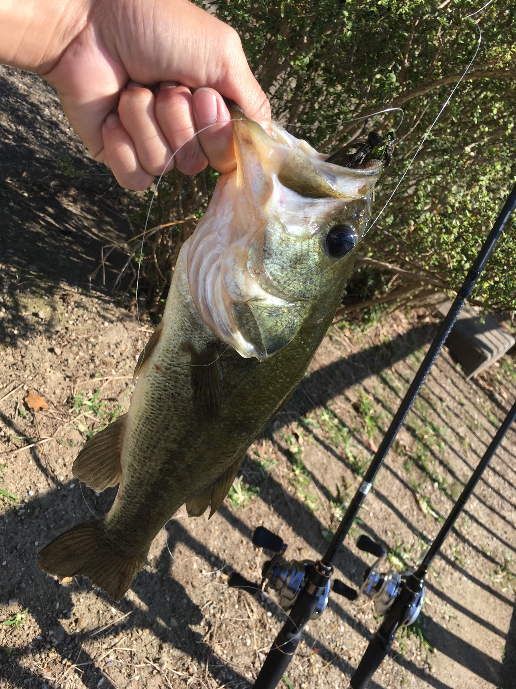 スタッフが撮影