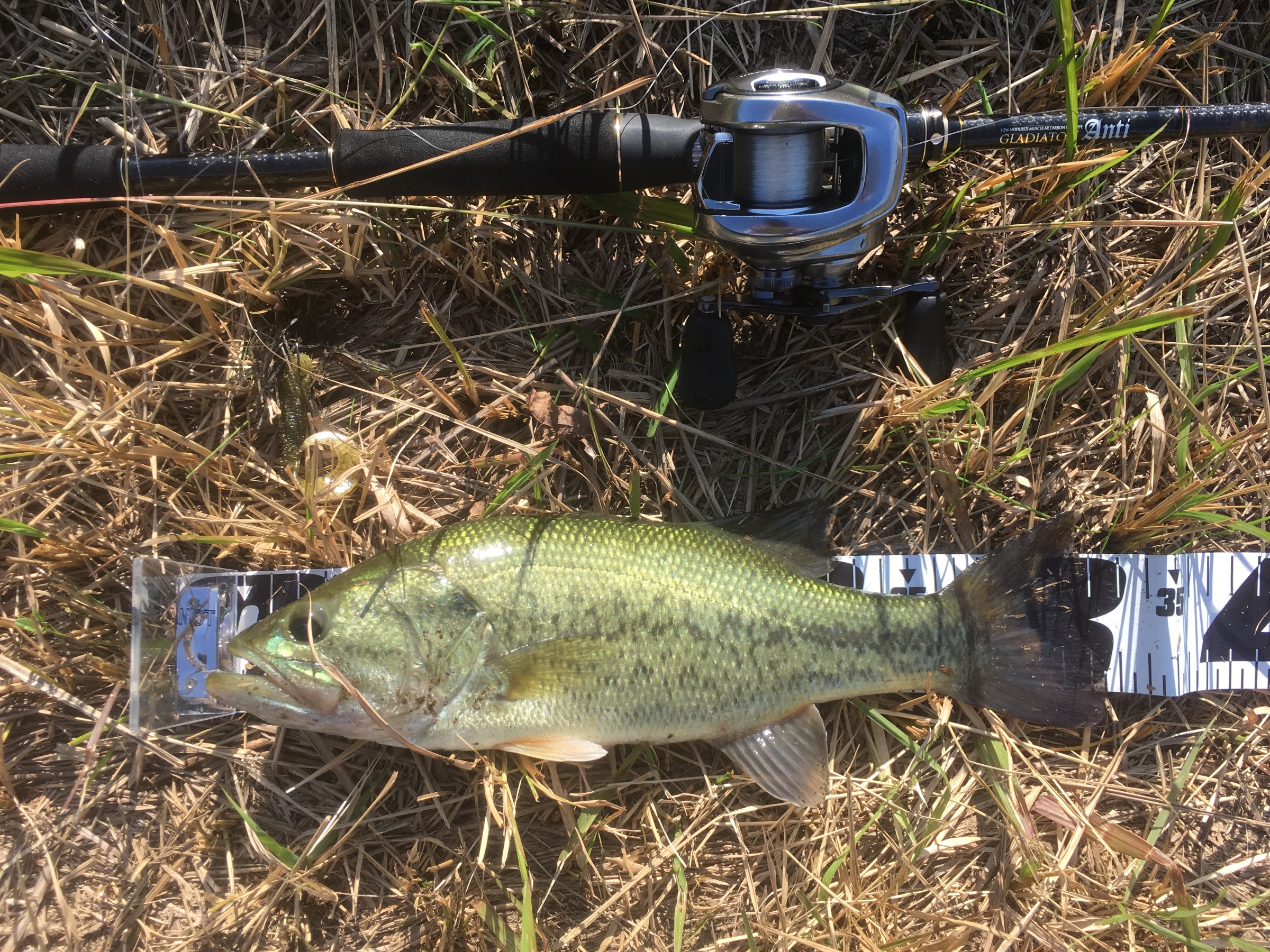 スタッフが撮影