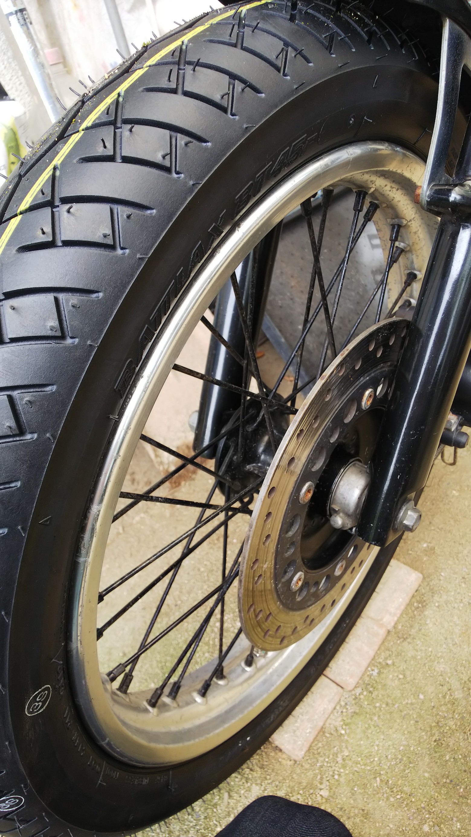 スタッフ撮影です。