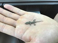 2019年  スタッフ日記  タイヤ館 市川  千葉県のタイヤ、カー用品 