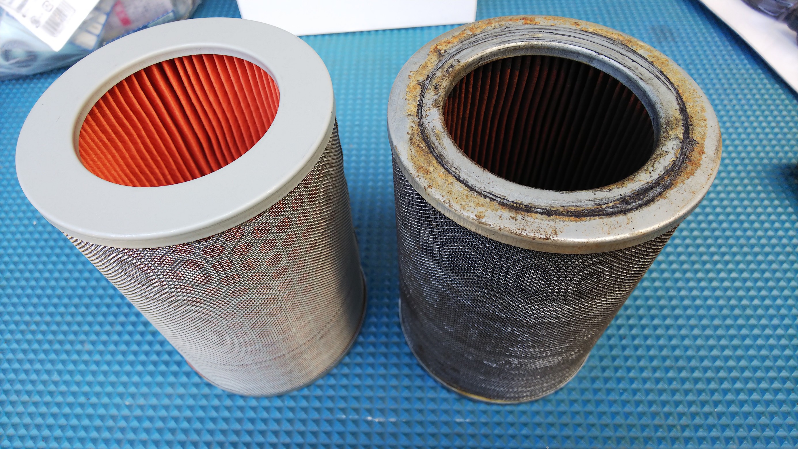 スタッフ撮影です。