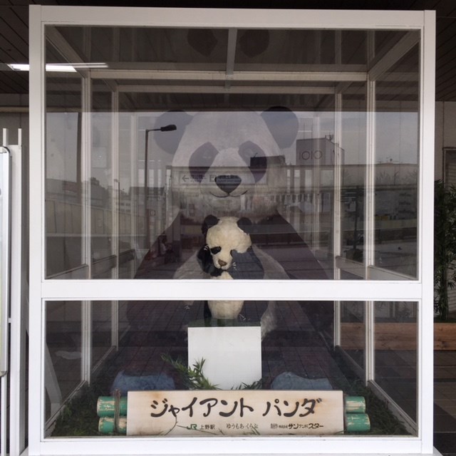 スタッフ撮影