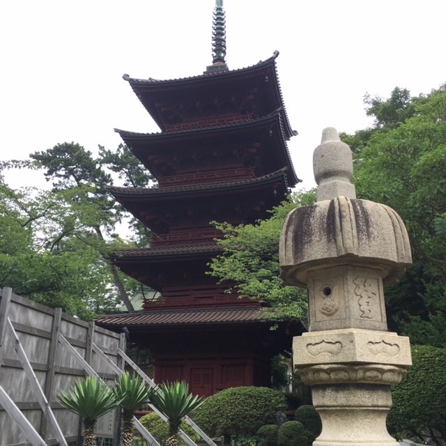 スタッフ撮影