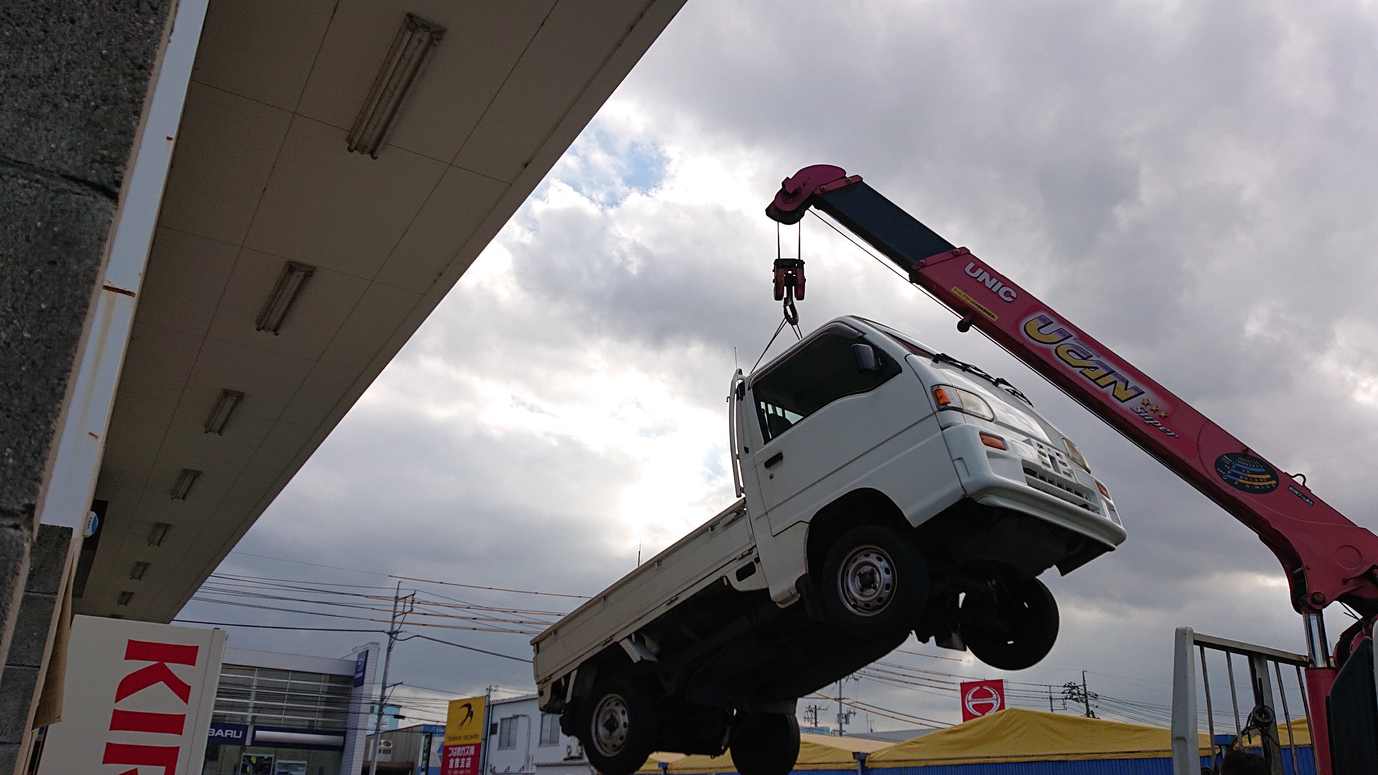 スタッフの撮影した画像です。
