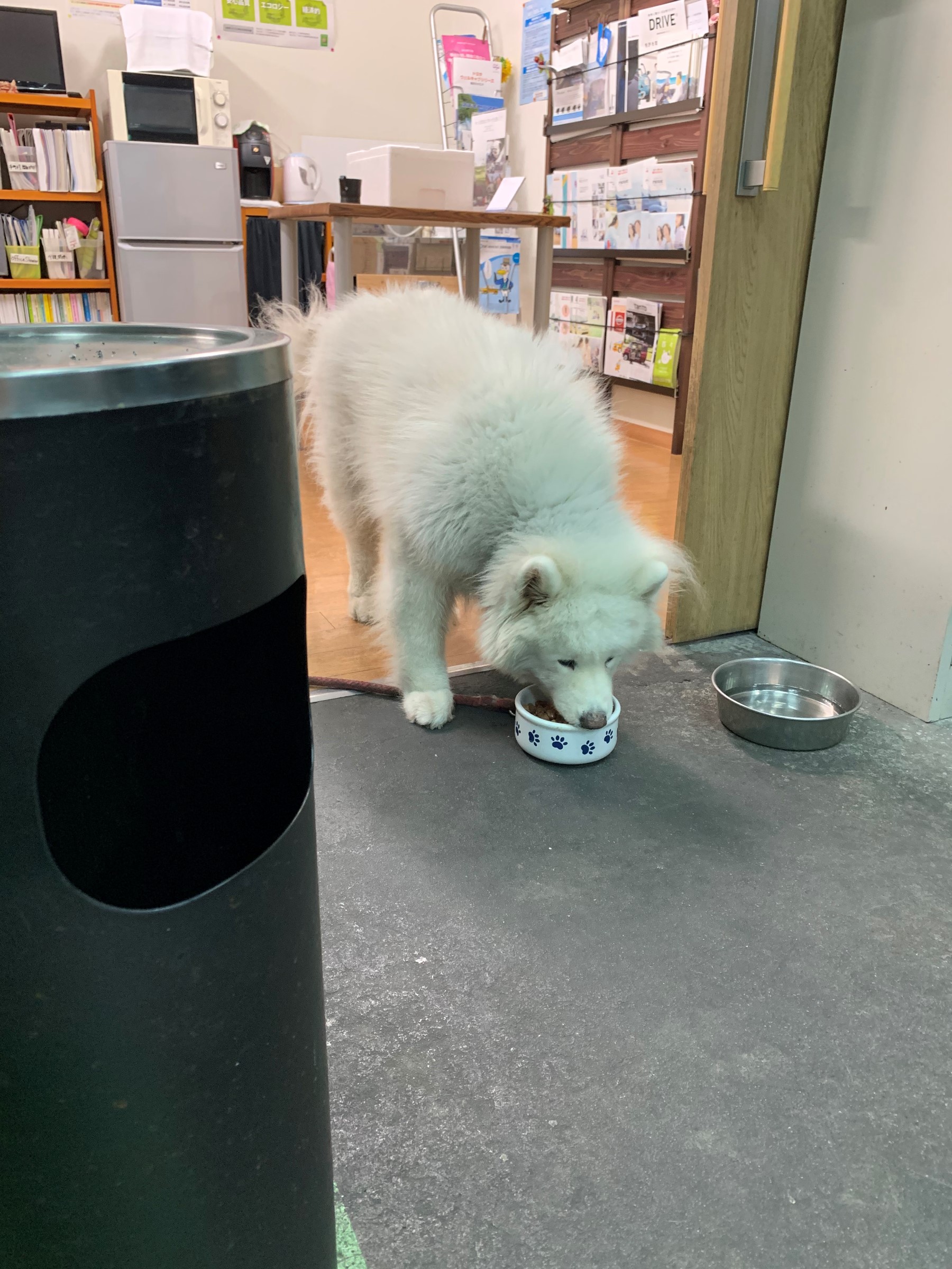 看板犬 スタッフ日記 タイヤ館 小松川 東京都のタイヤ カー用品ショップ タイヤからはじまる トータルカーメンテナンス タイヤ館グループ