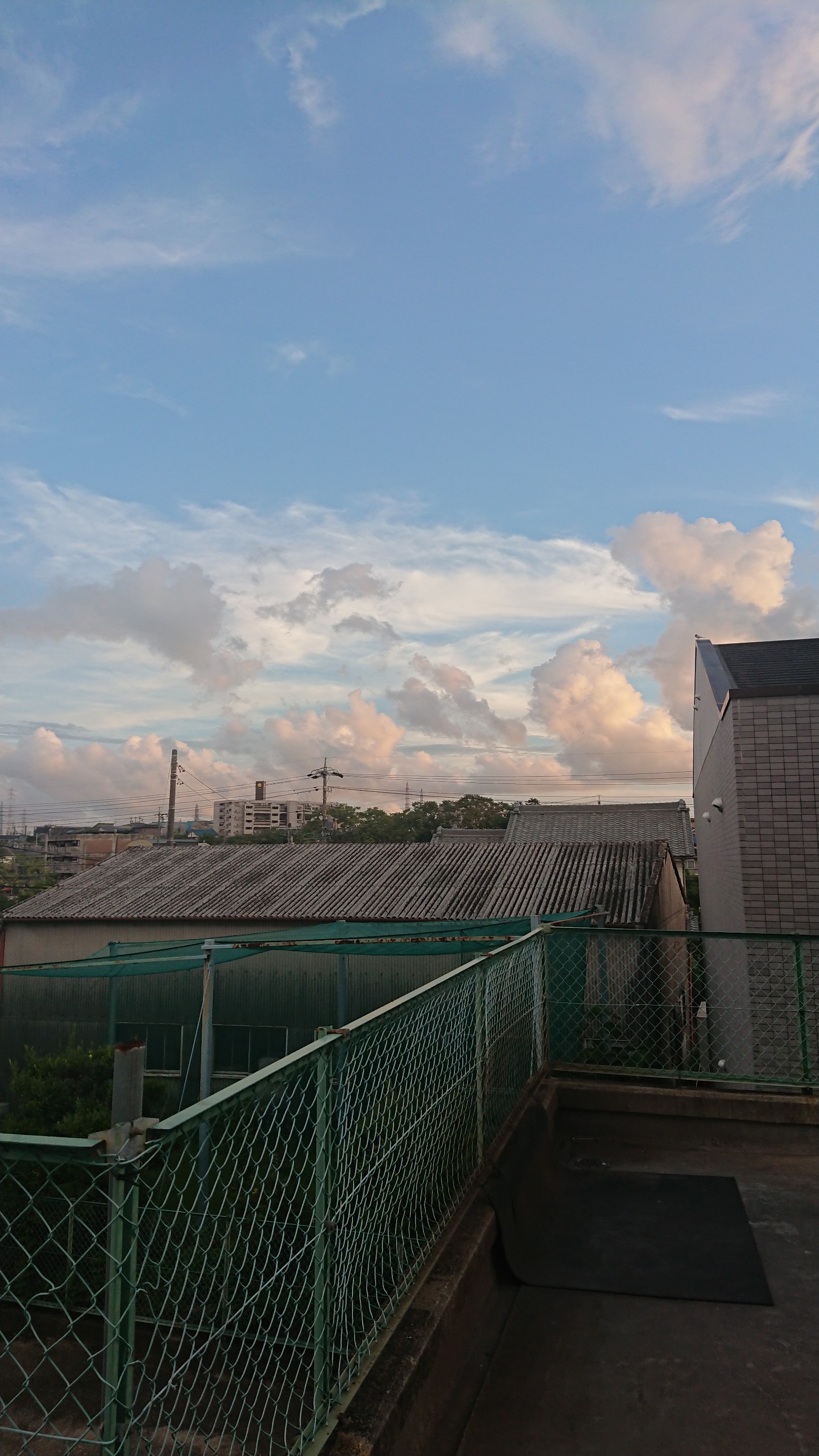 スタッフが撮影しました